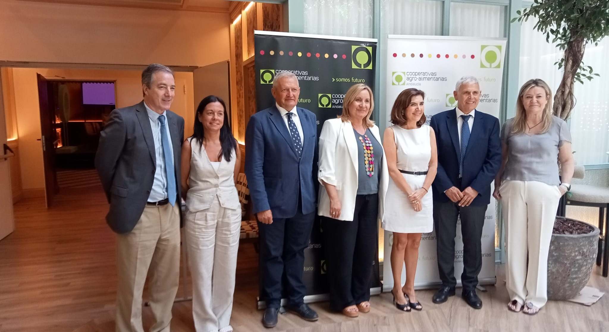 Cooperativas