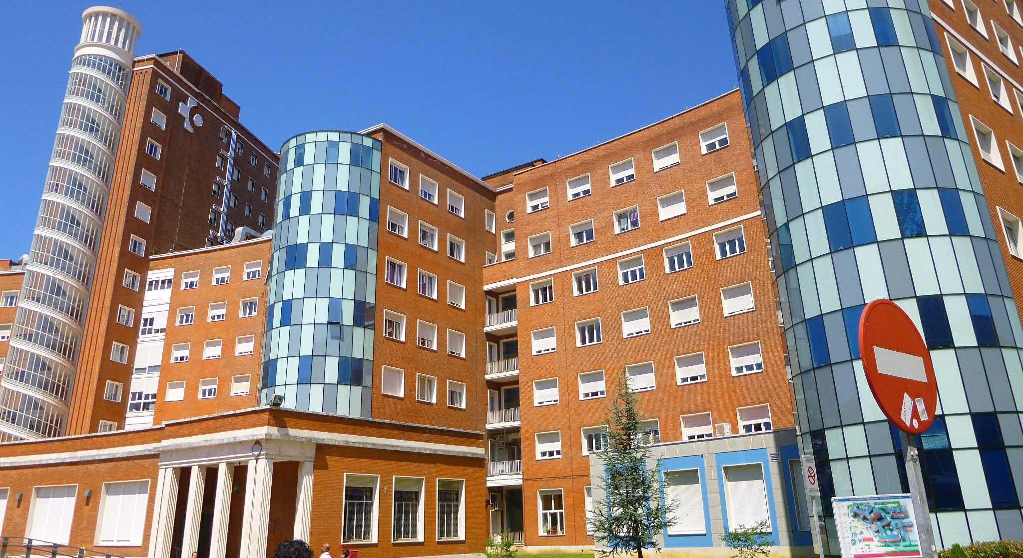 Hospital de Cruces-Gurutzetako Hospitalea, en Barakaldo (Bizkaia)
