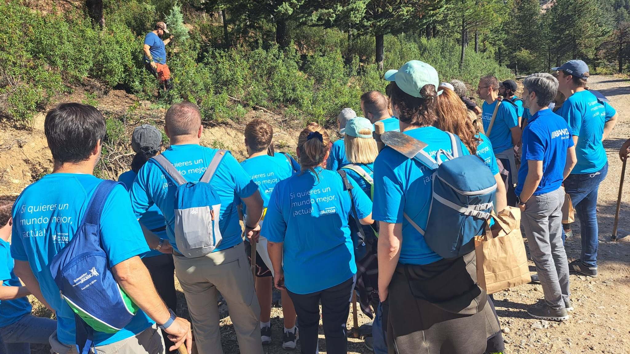Voluntarios con camiseta azul de espaldas en un bosque