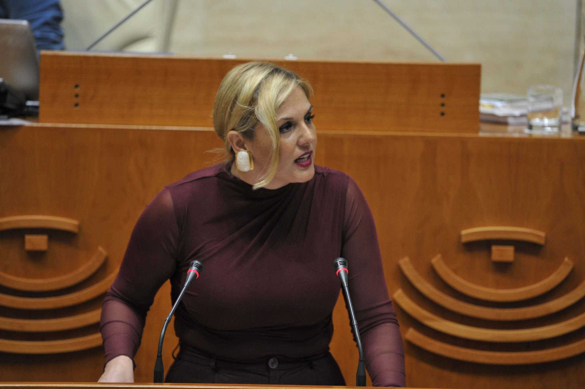 Elena Manzano, consejera Hacienda y Administración Pública