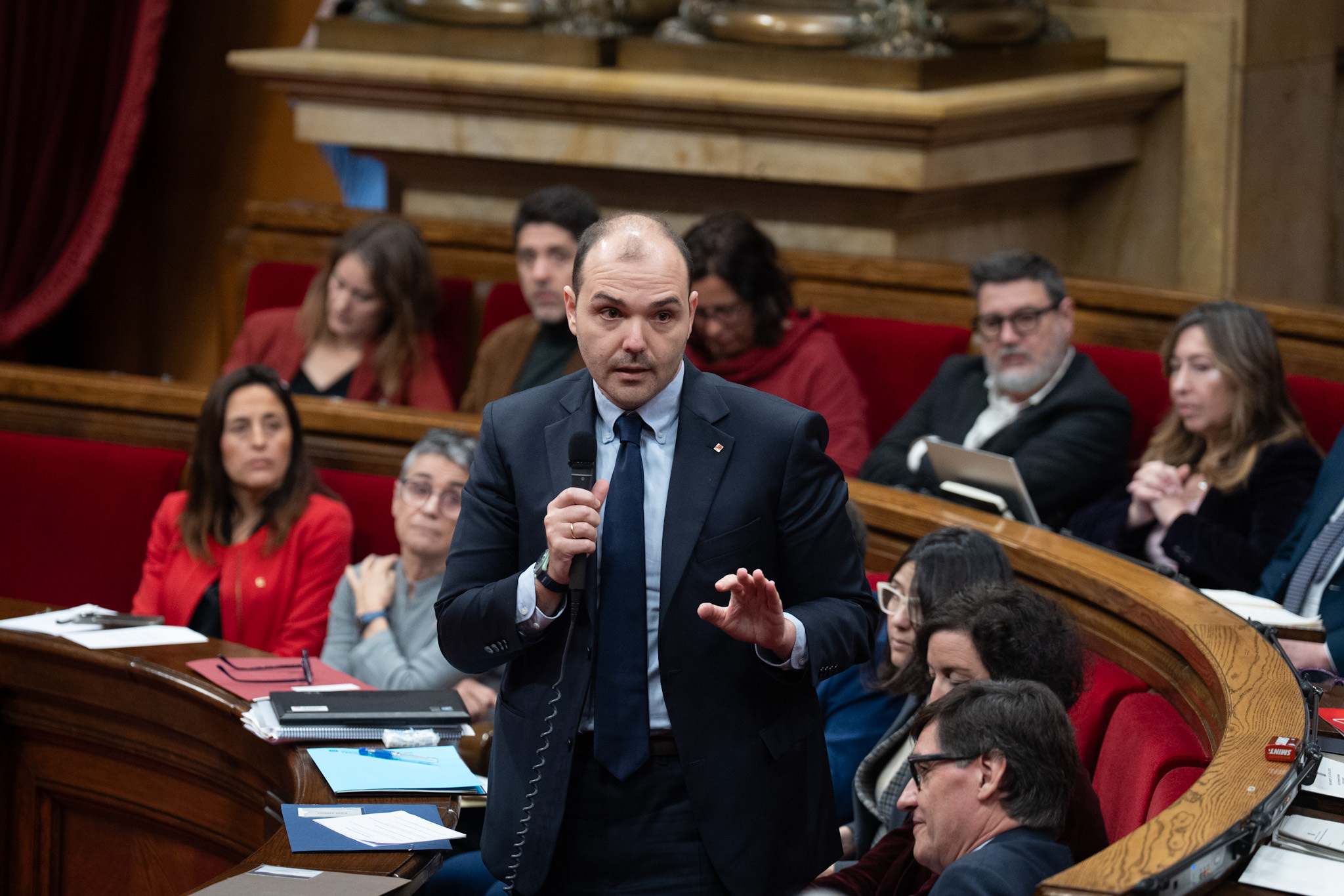 dalmau.jpg