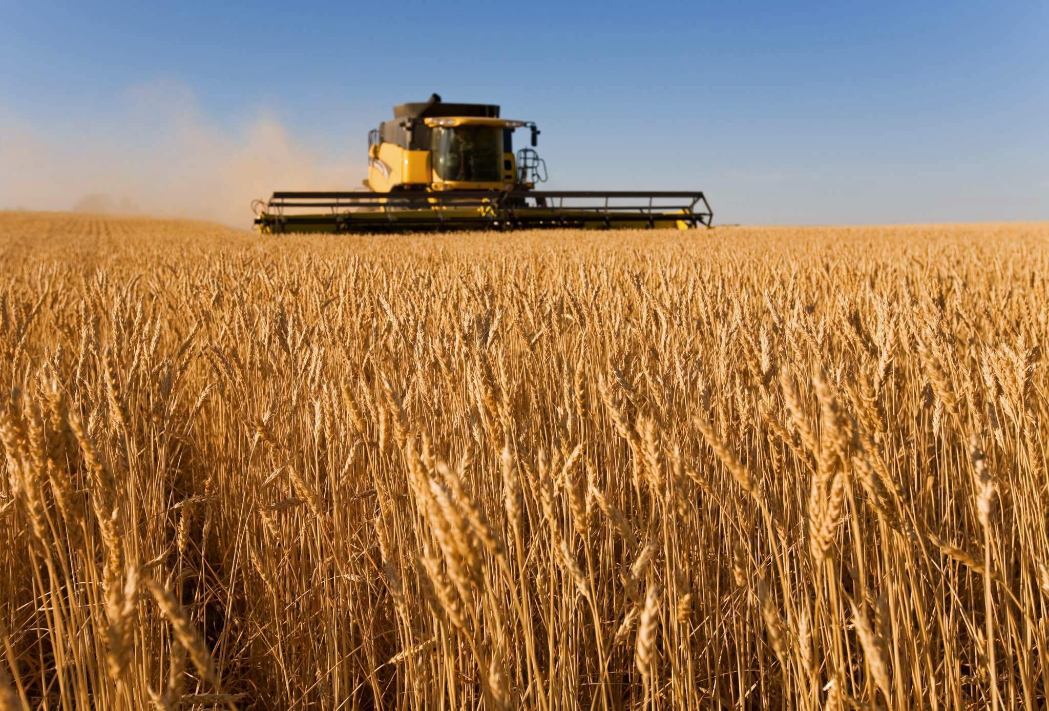 Segadora en el campo