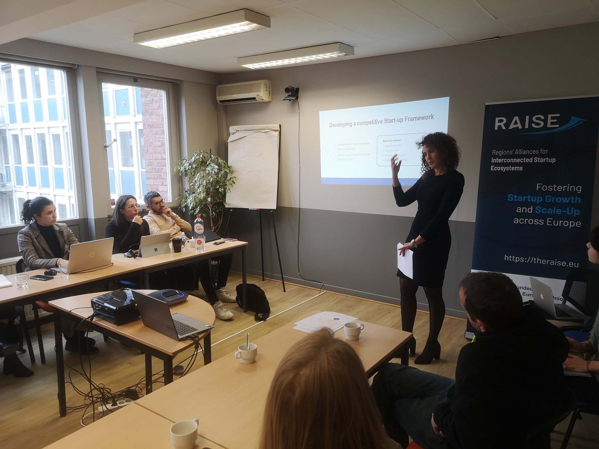 Desarrollo del nuevo programa europeo RAISE
