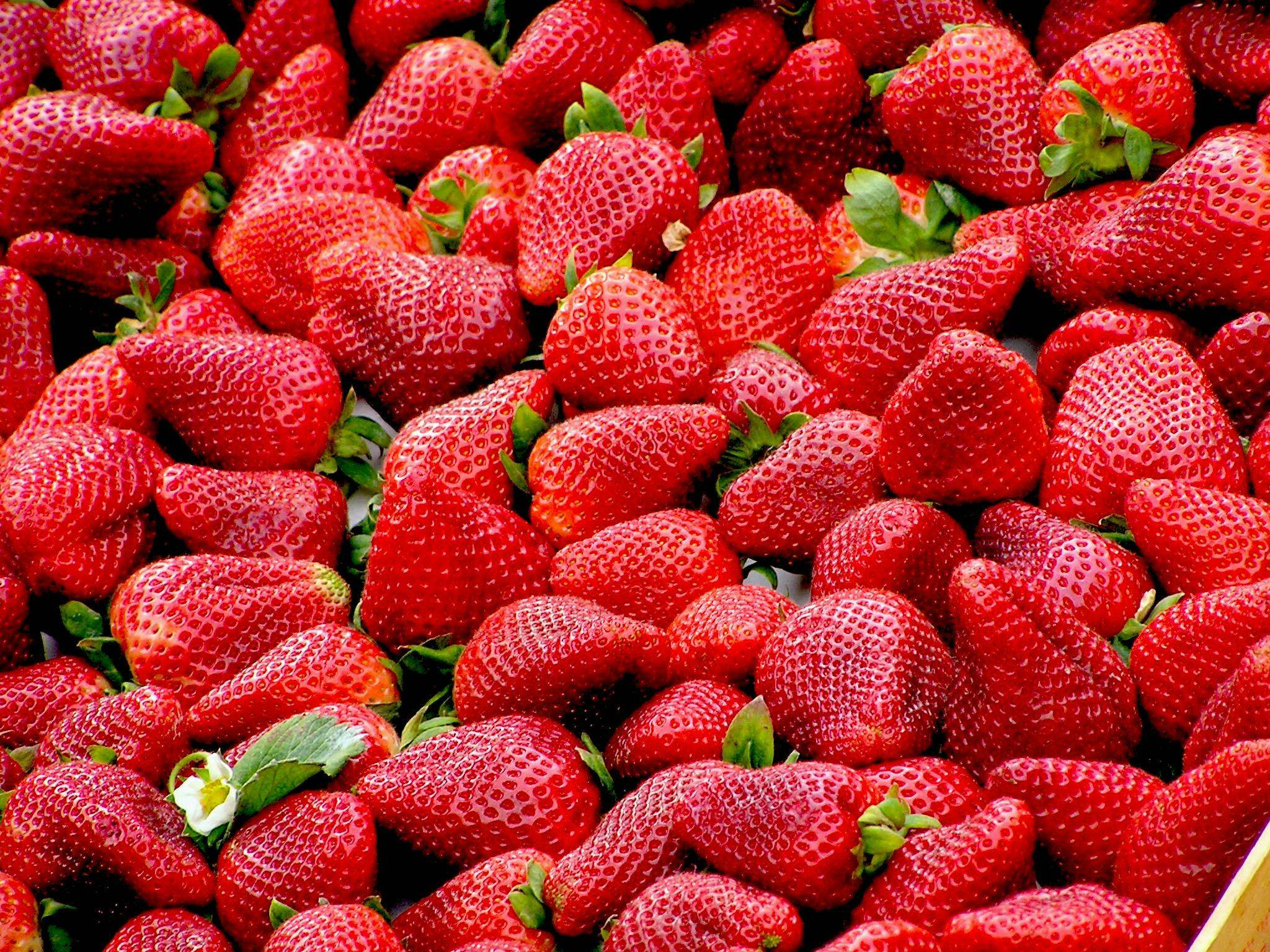 Las fresas son muy versátiles