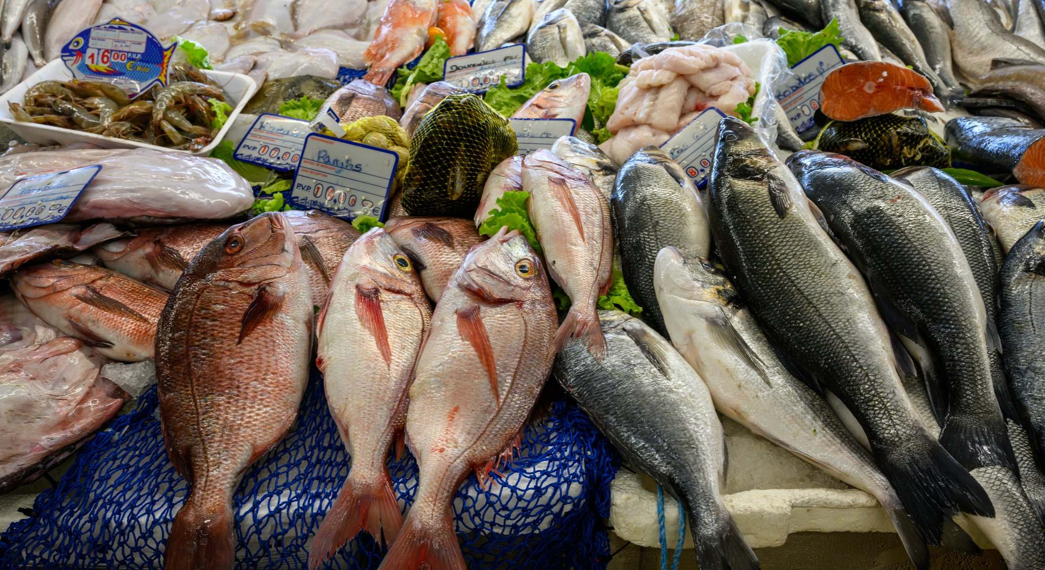 Pescados en la pescadería