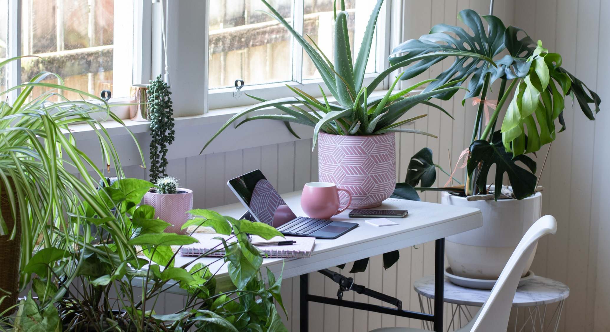 Una habitación de casa con plantas. / Foto: iStock