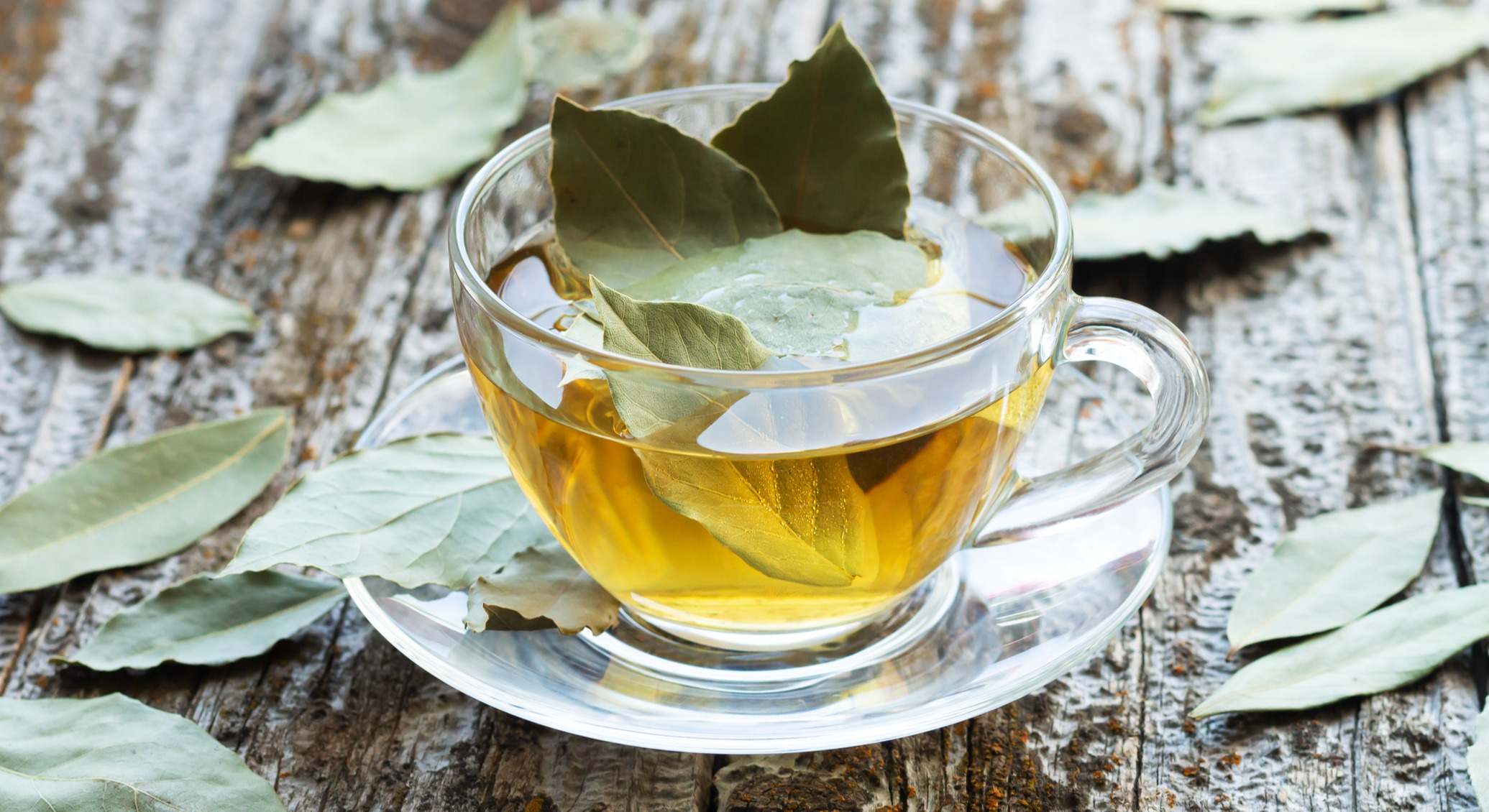 Taza de infusión de laurel