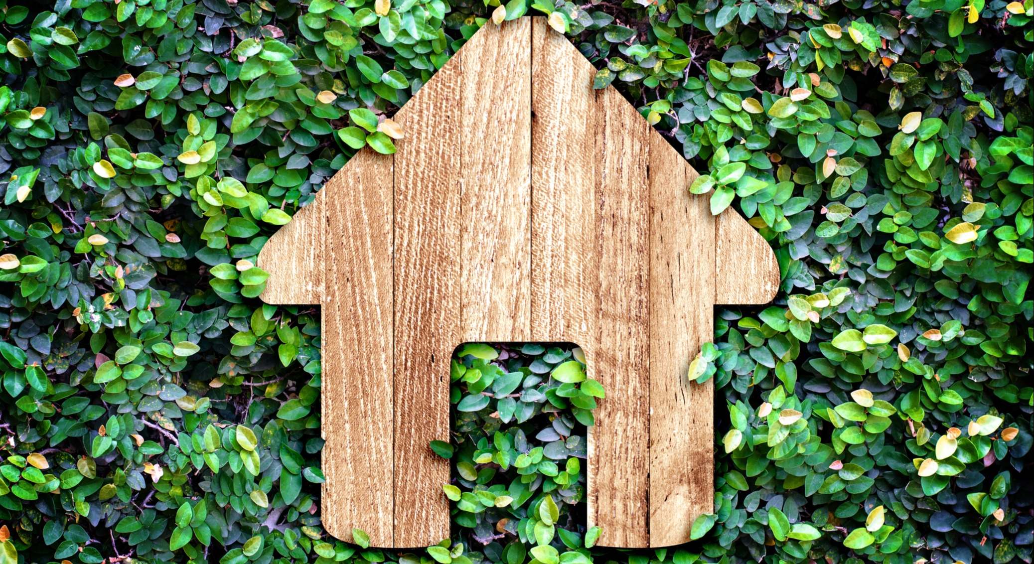 Icono de una vivienda rodeada de hojas verdes