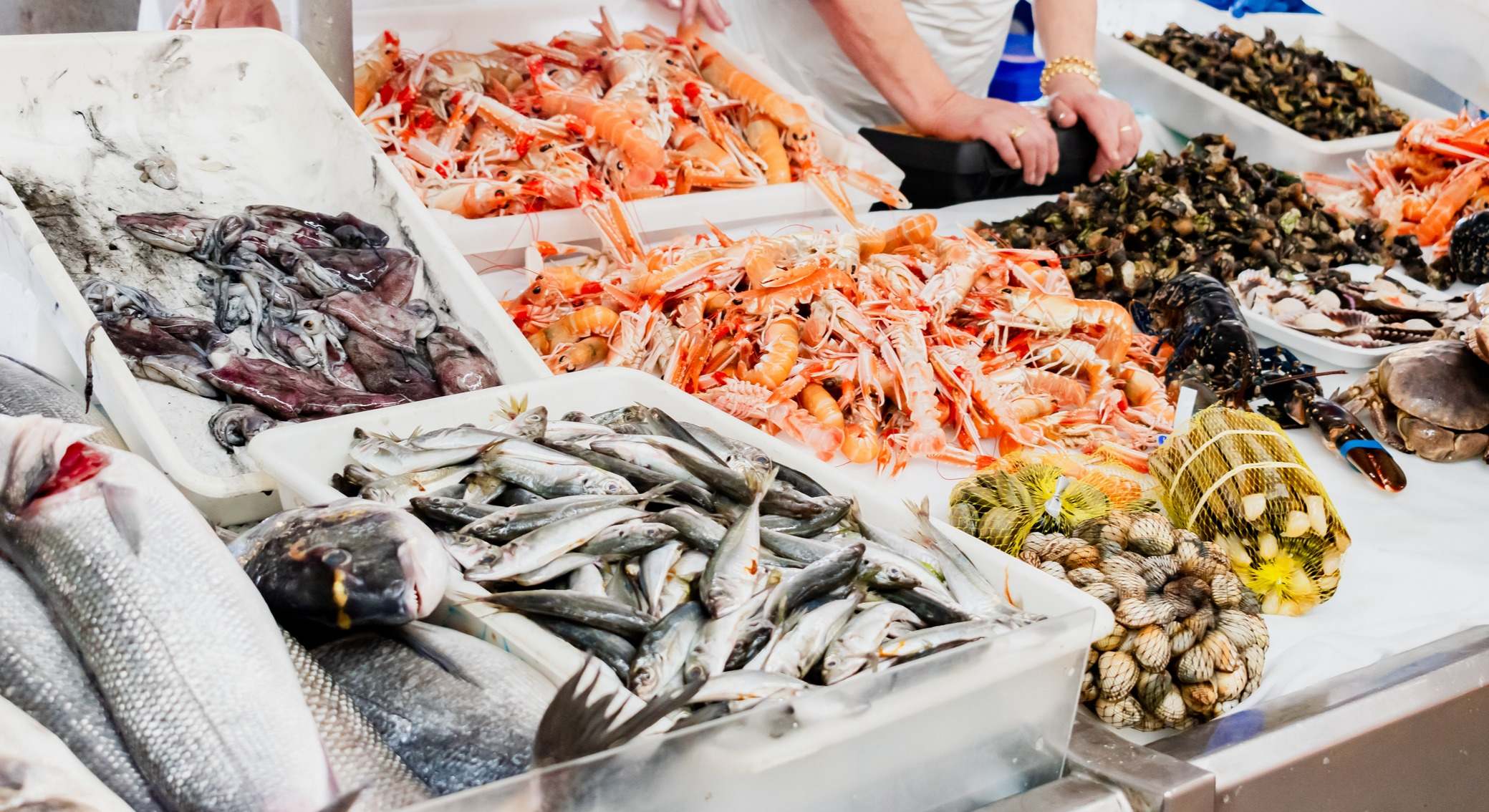 Pescados expuestos en la pescadería