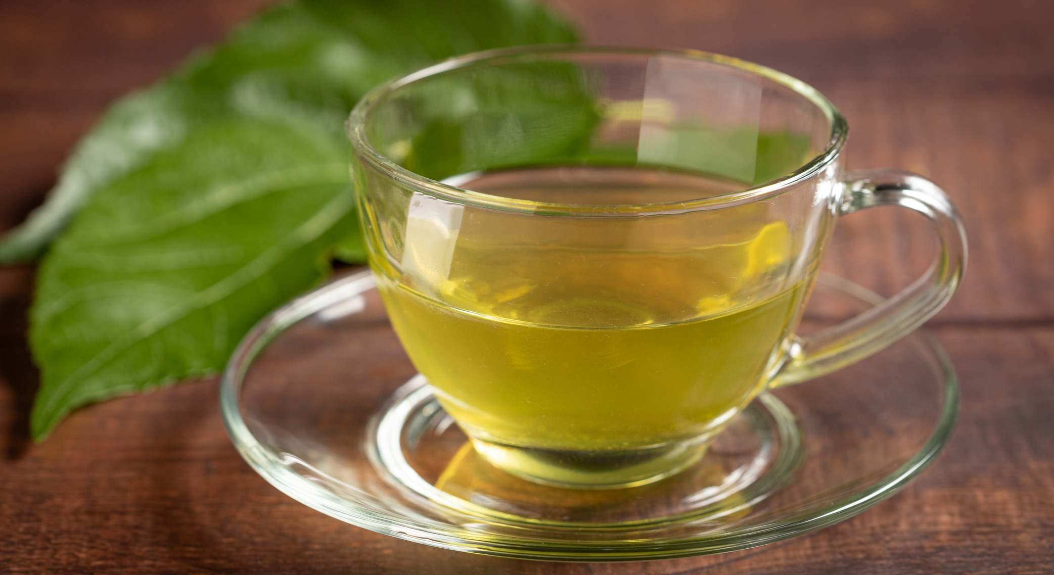 Infusión de hojas de morera