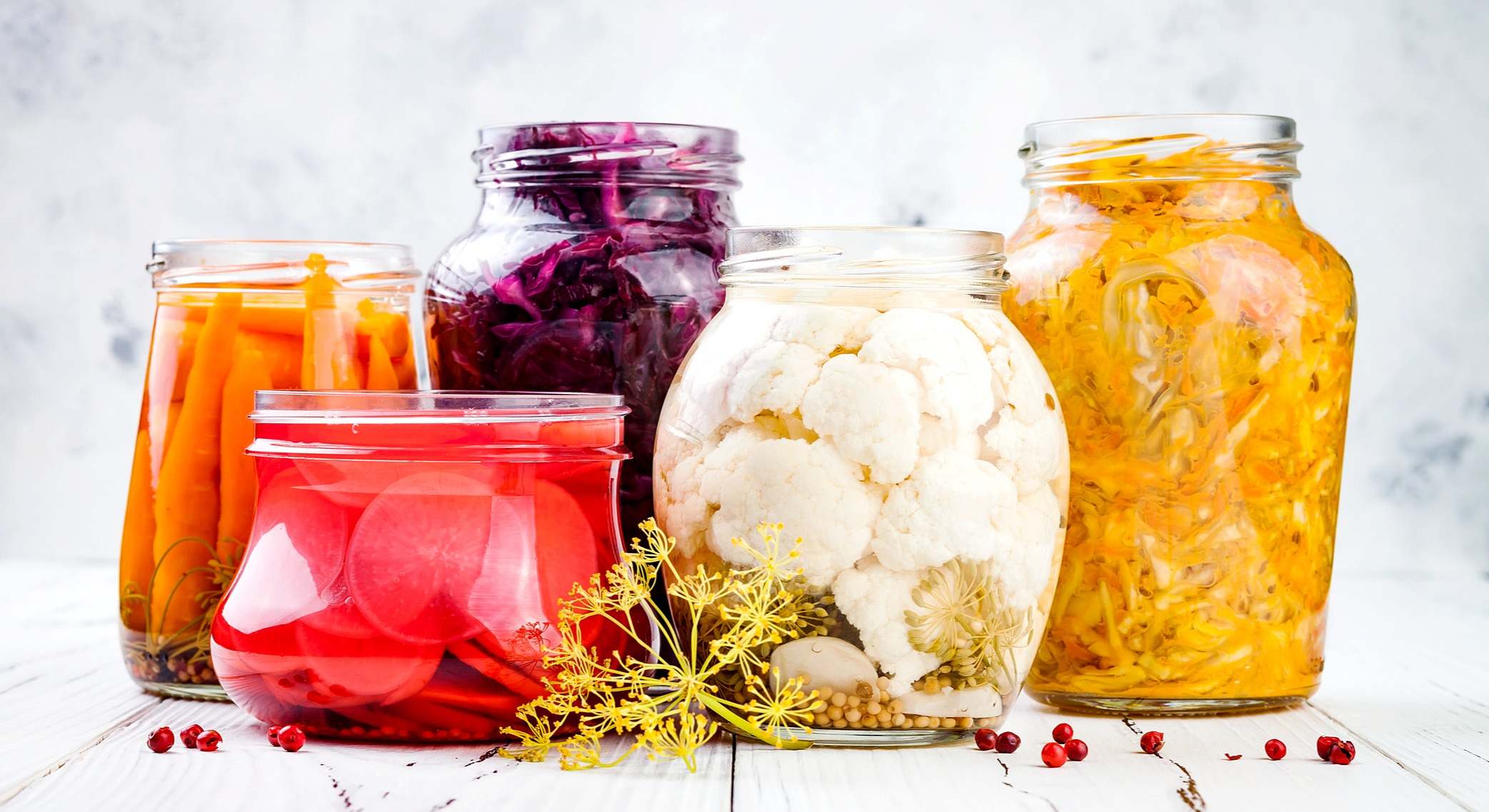 Alimentos probióticos