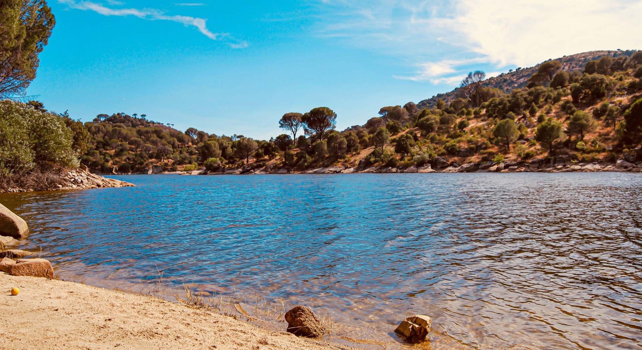 Embalse con vegetación