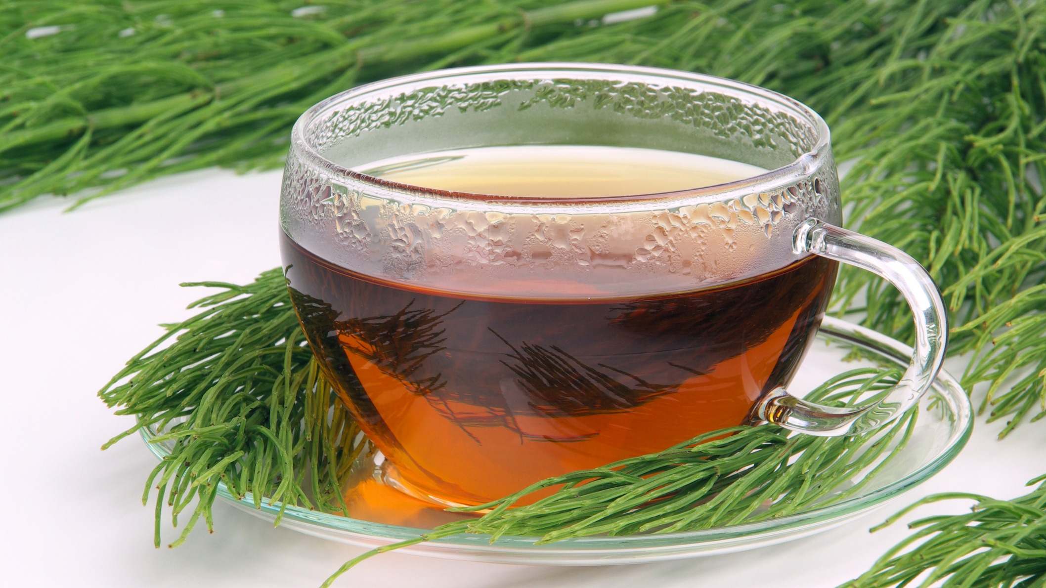 Infusión de cola de caballo