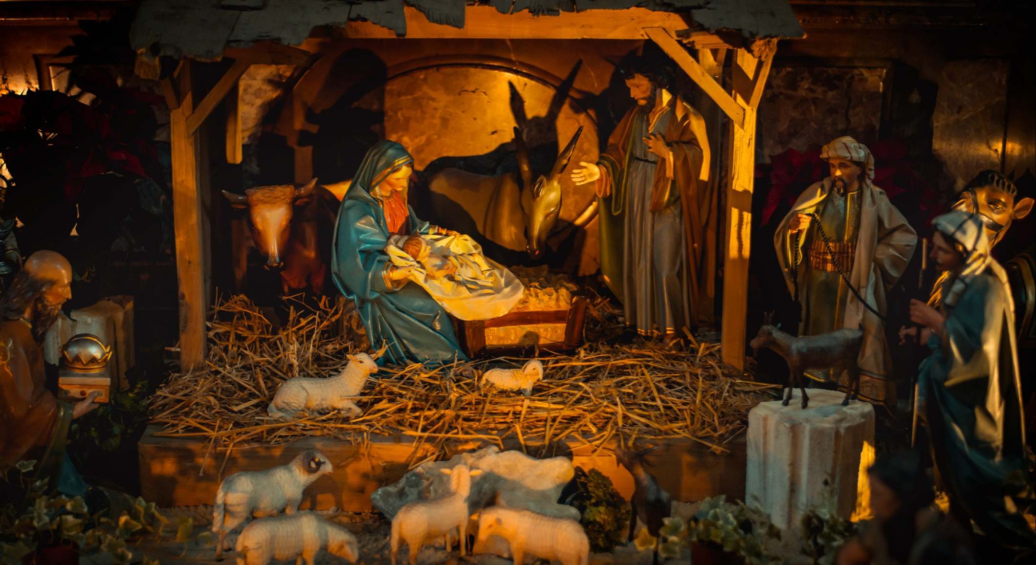 Un nacimiento en un pesebre con la mula