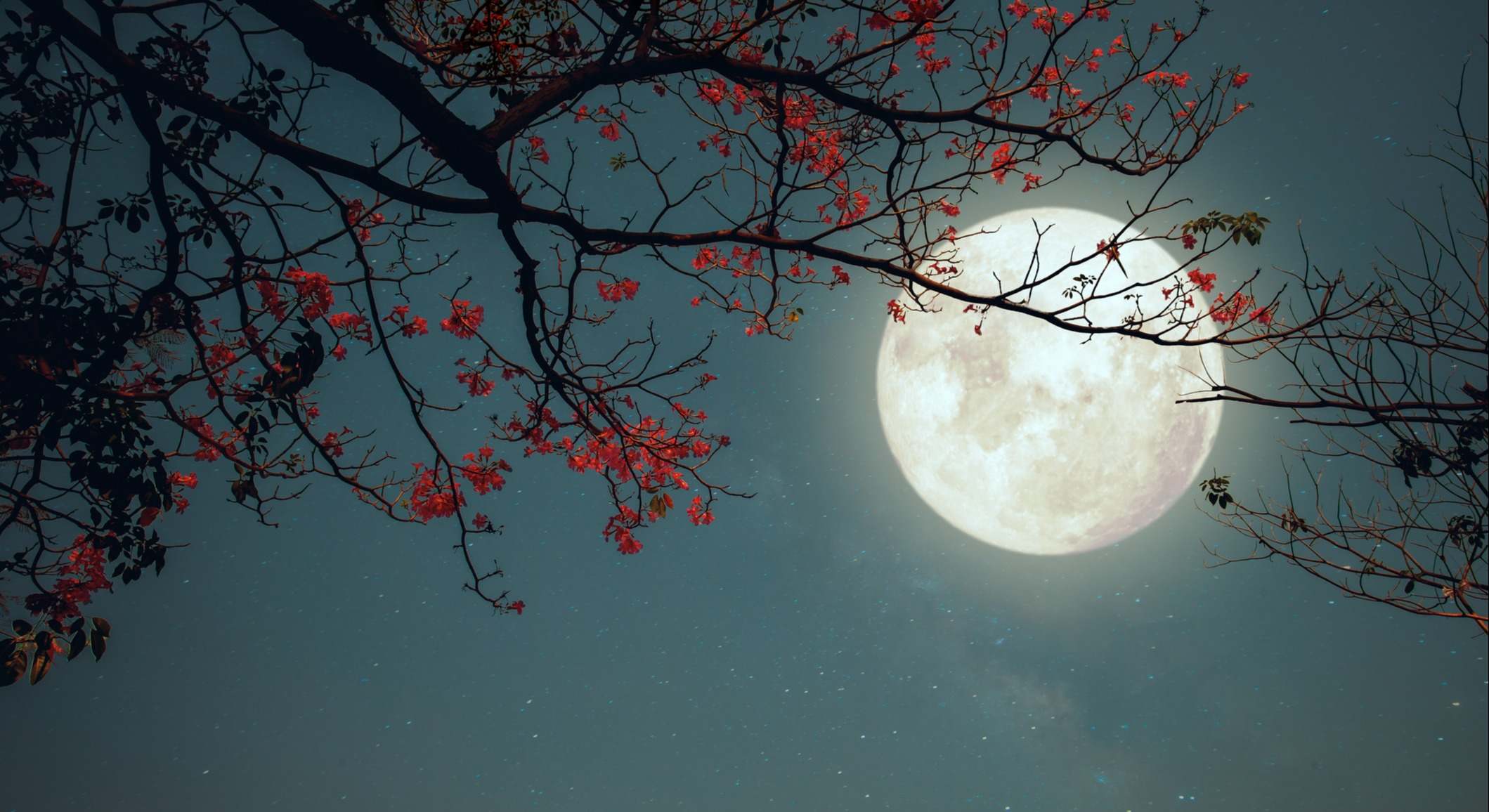 Luna llena de las flores, en mayo de 2024. / Foto: iStock