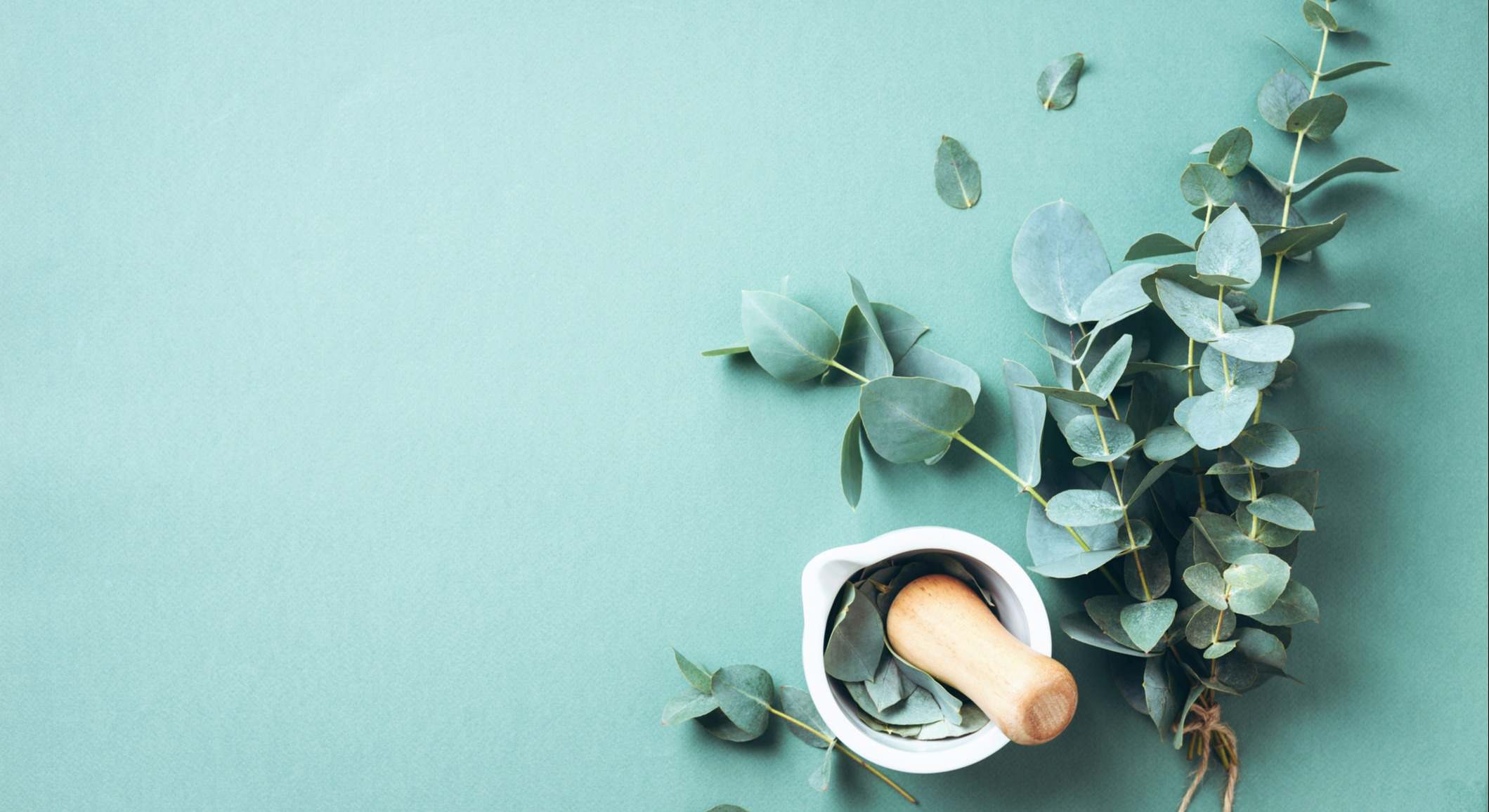 La planta medicinal que ayuda a tratar la artrosis y regenera los músculos