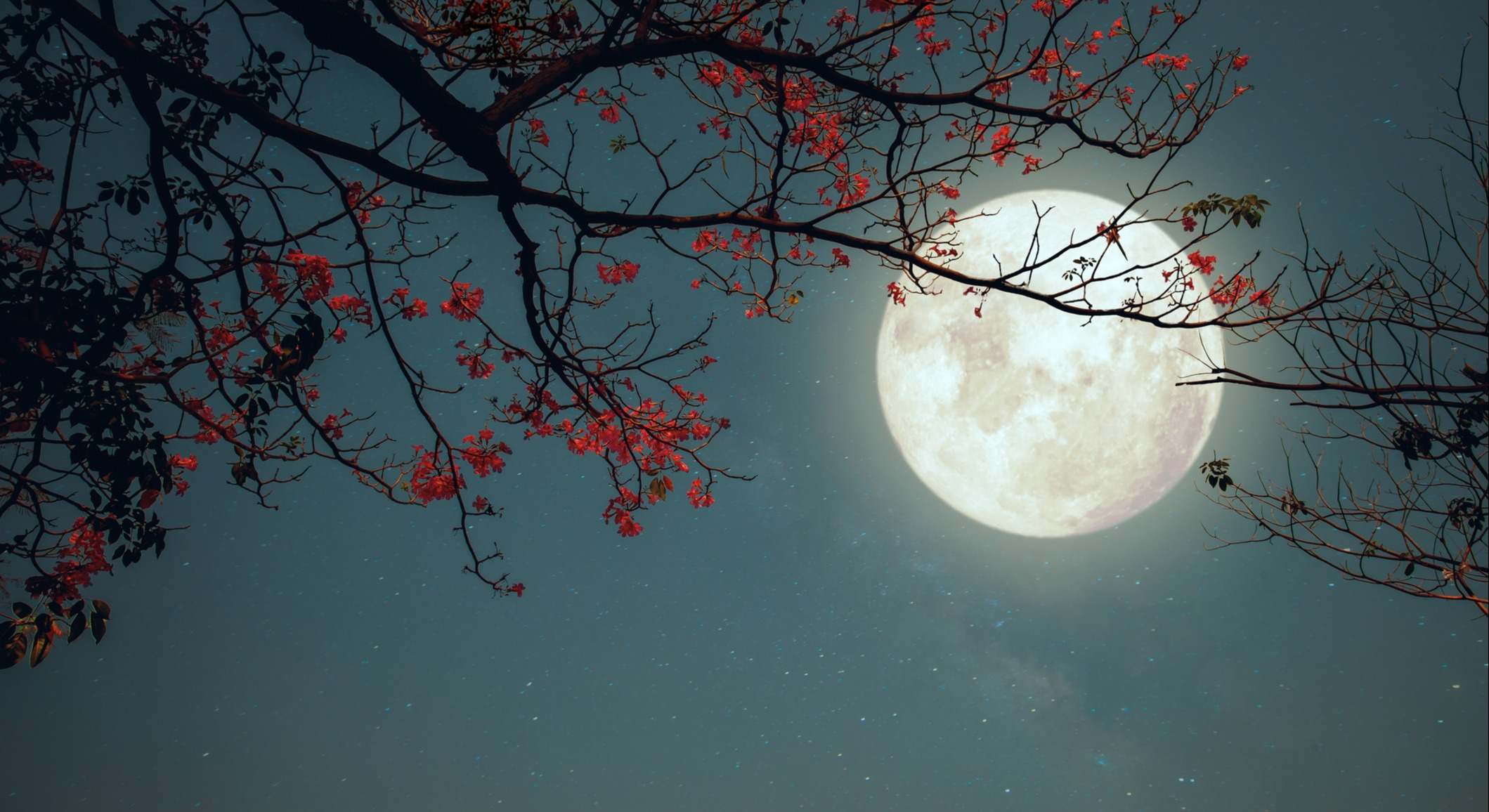 Luna llena de septiembre. / Foto: iStock