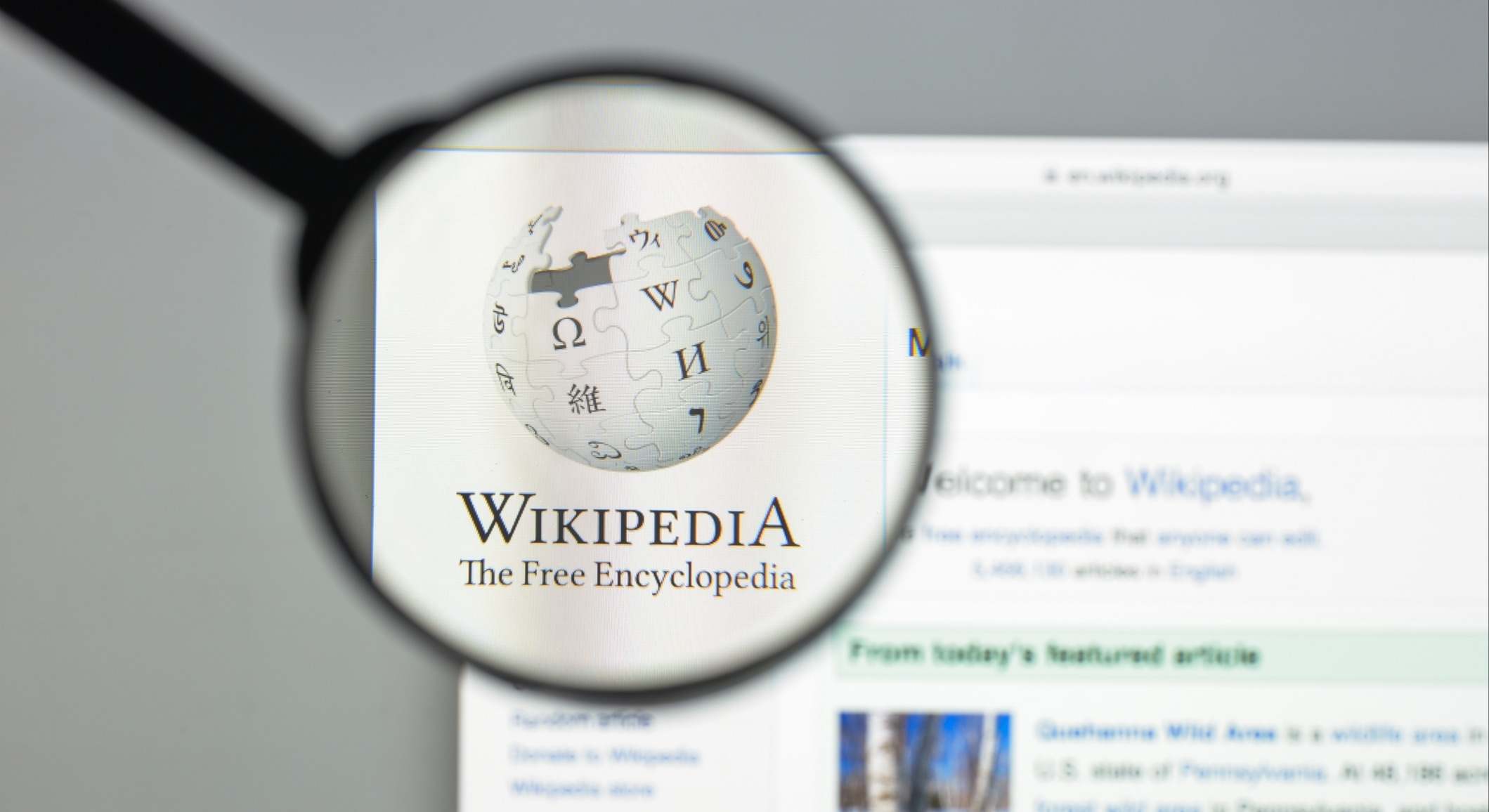 Wikipedia