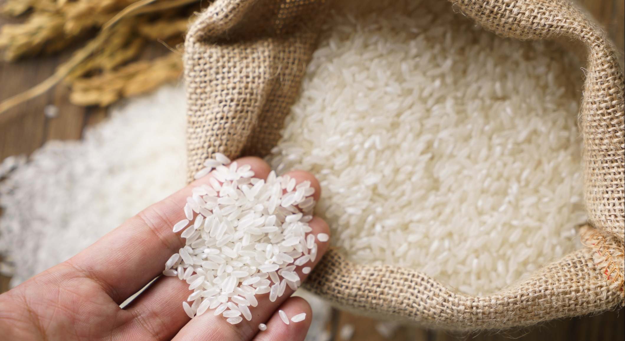 Granos de arroz