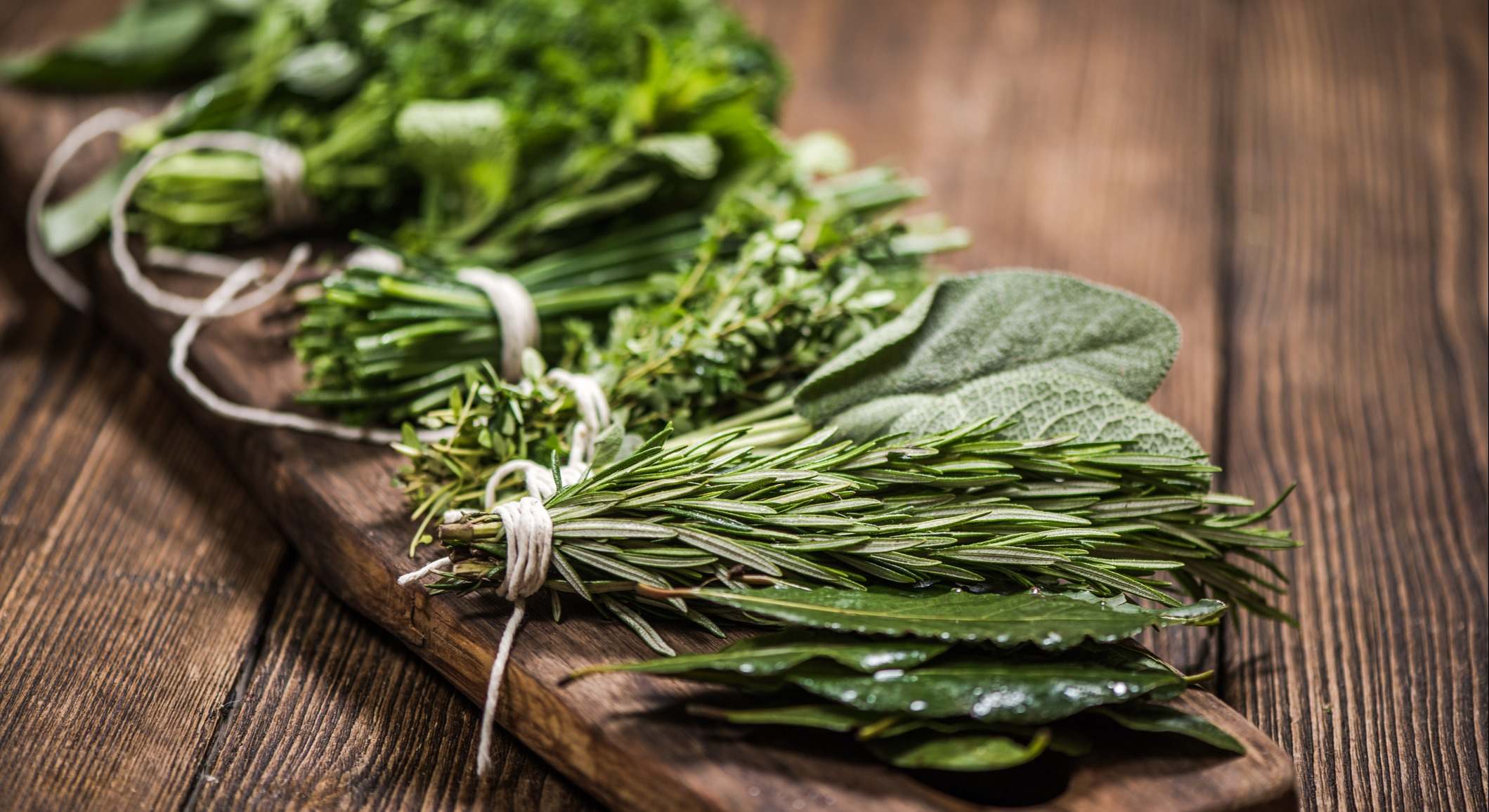 hierbas aromáticas