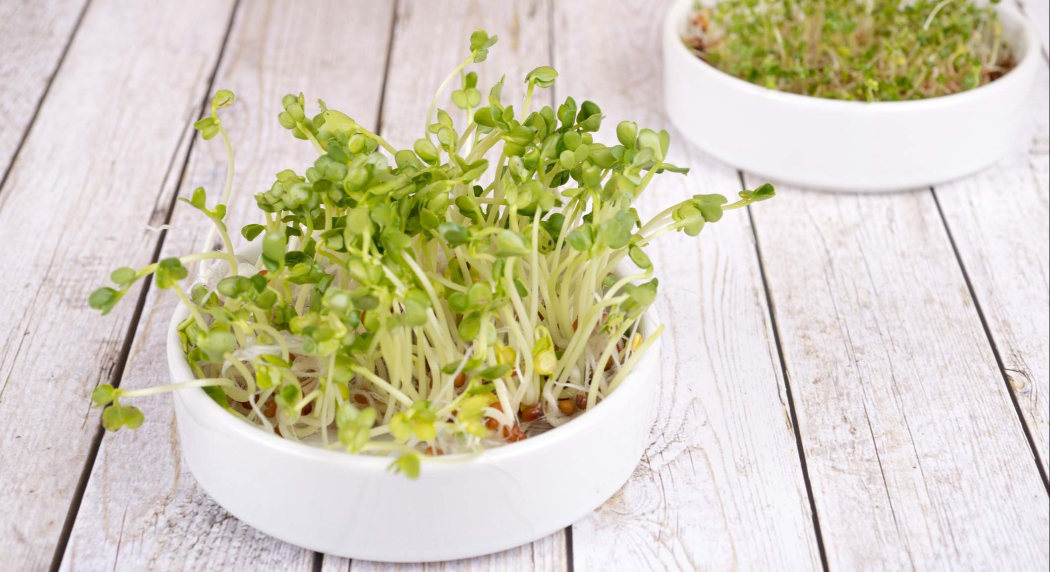 Brotes en un recipiente sobre una mesa blanca de madera