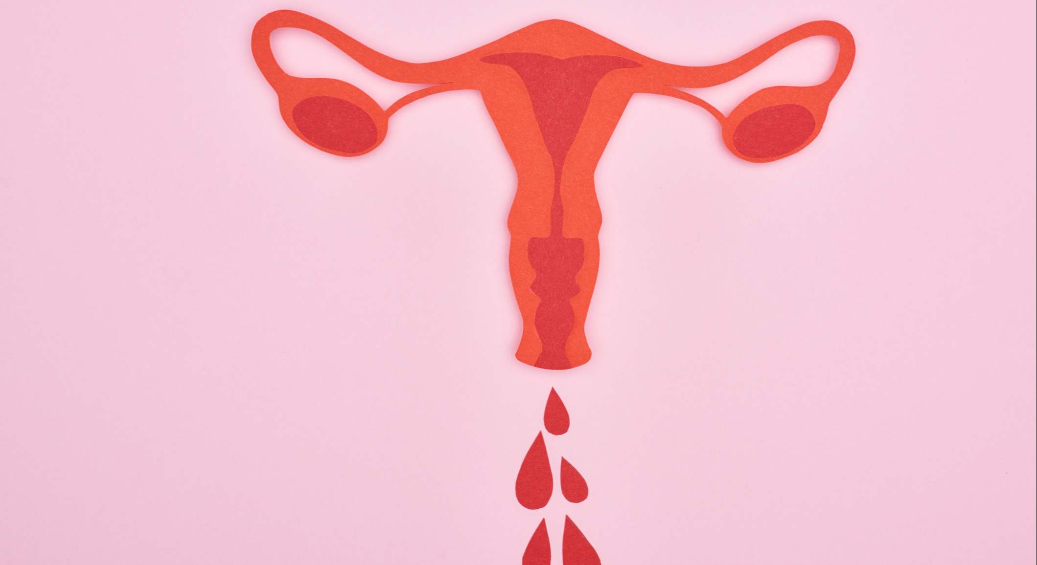Vista superior del papel rojo cortado órganos internos reproductores femeninos con gotas de sangre sobre fondo rosa