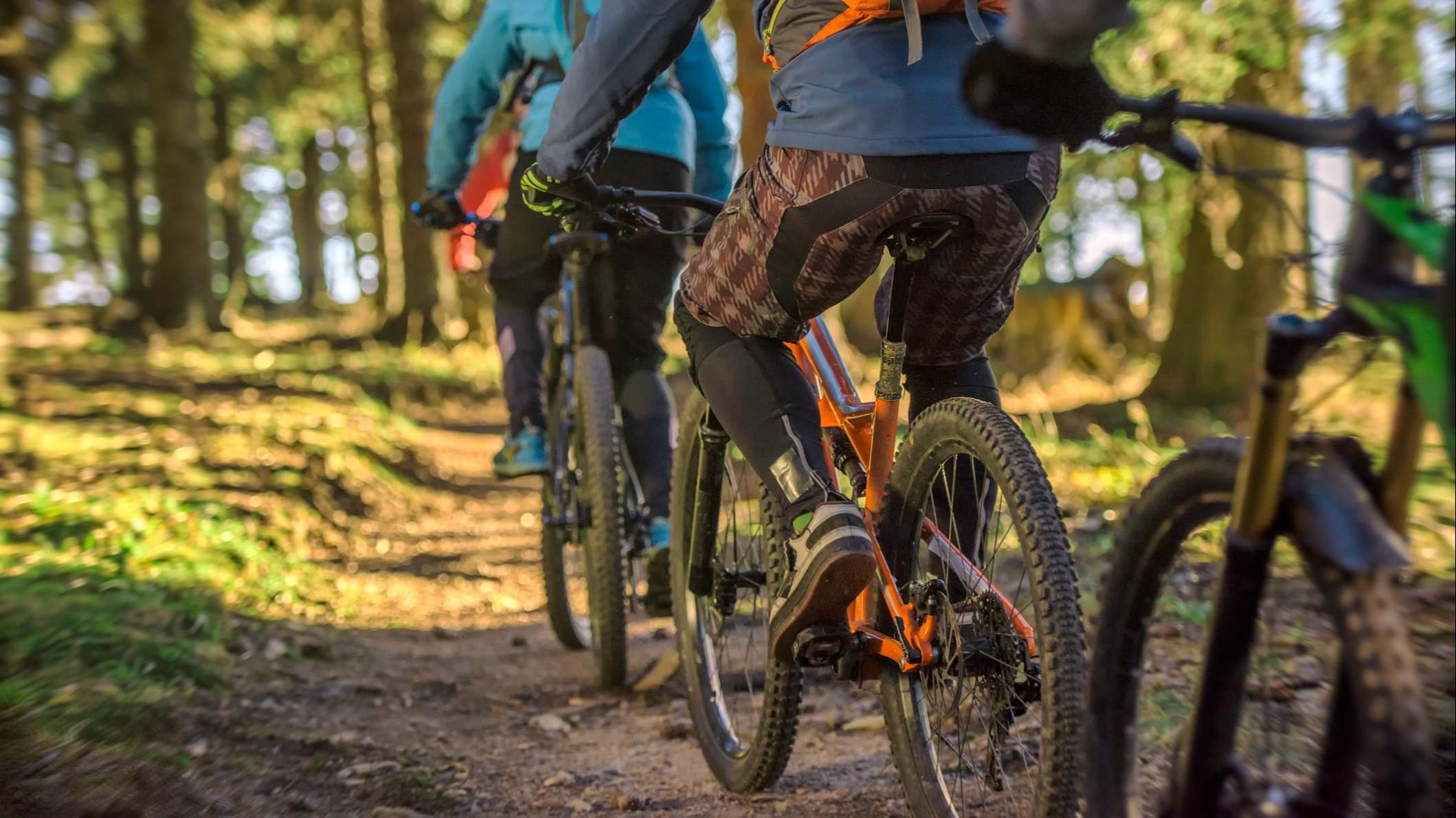 Ciclistas de montaña a través del bosque