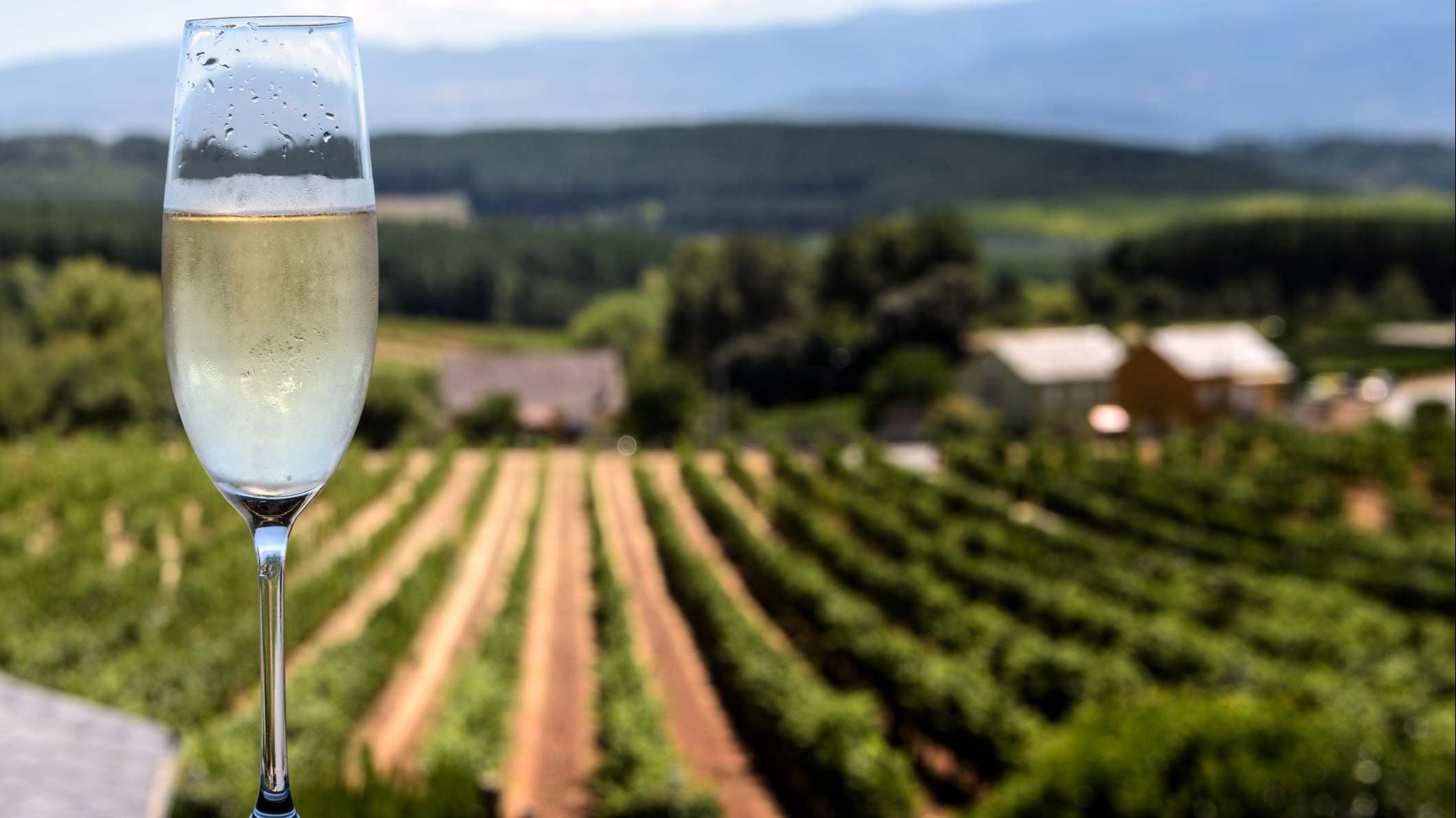 Diferencias entre champán y el cava