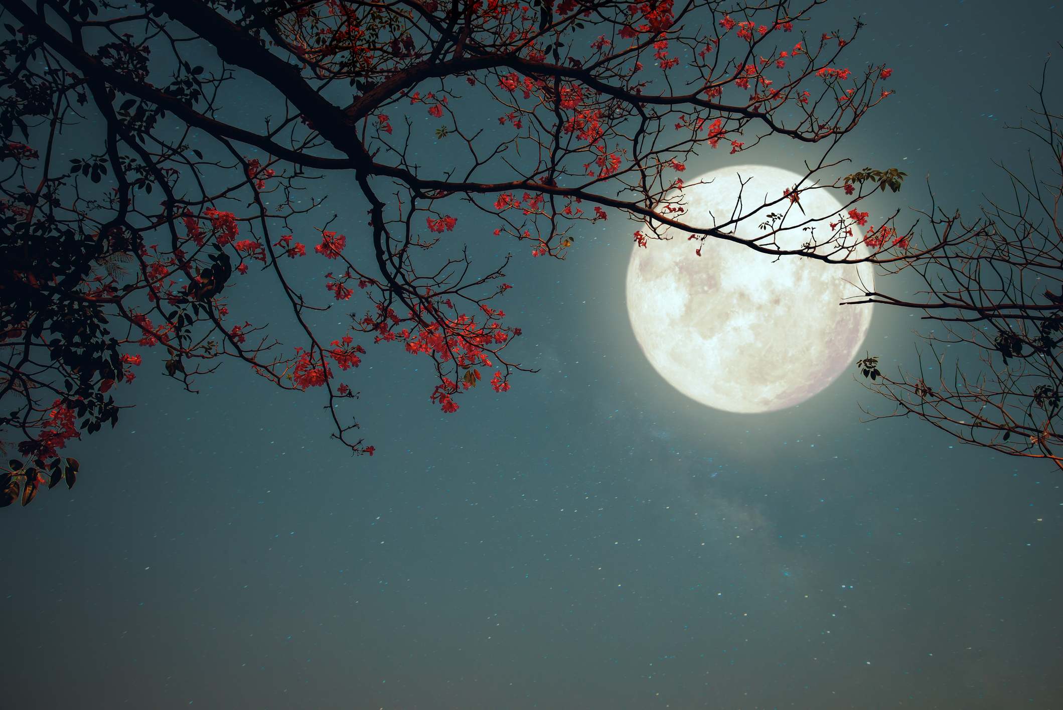 Qué día es la Luna llena en septiembre de 2024 consulta el calendario