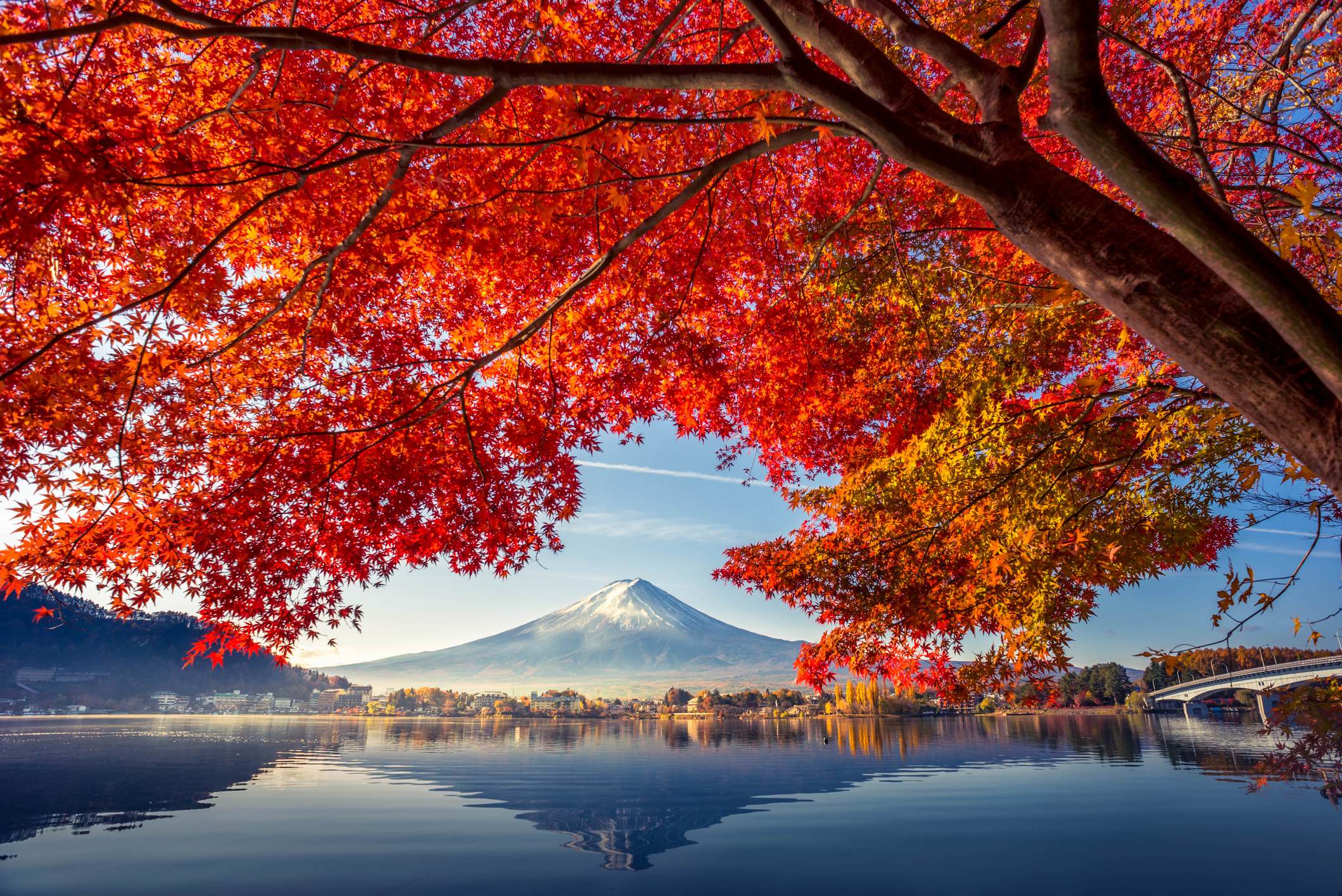 iStock-881331810.jpg