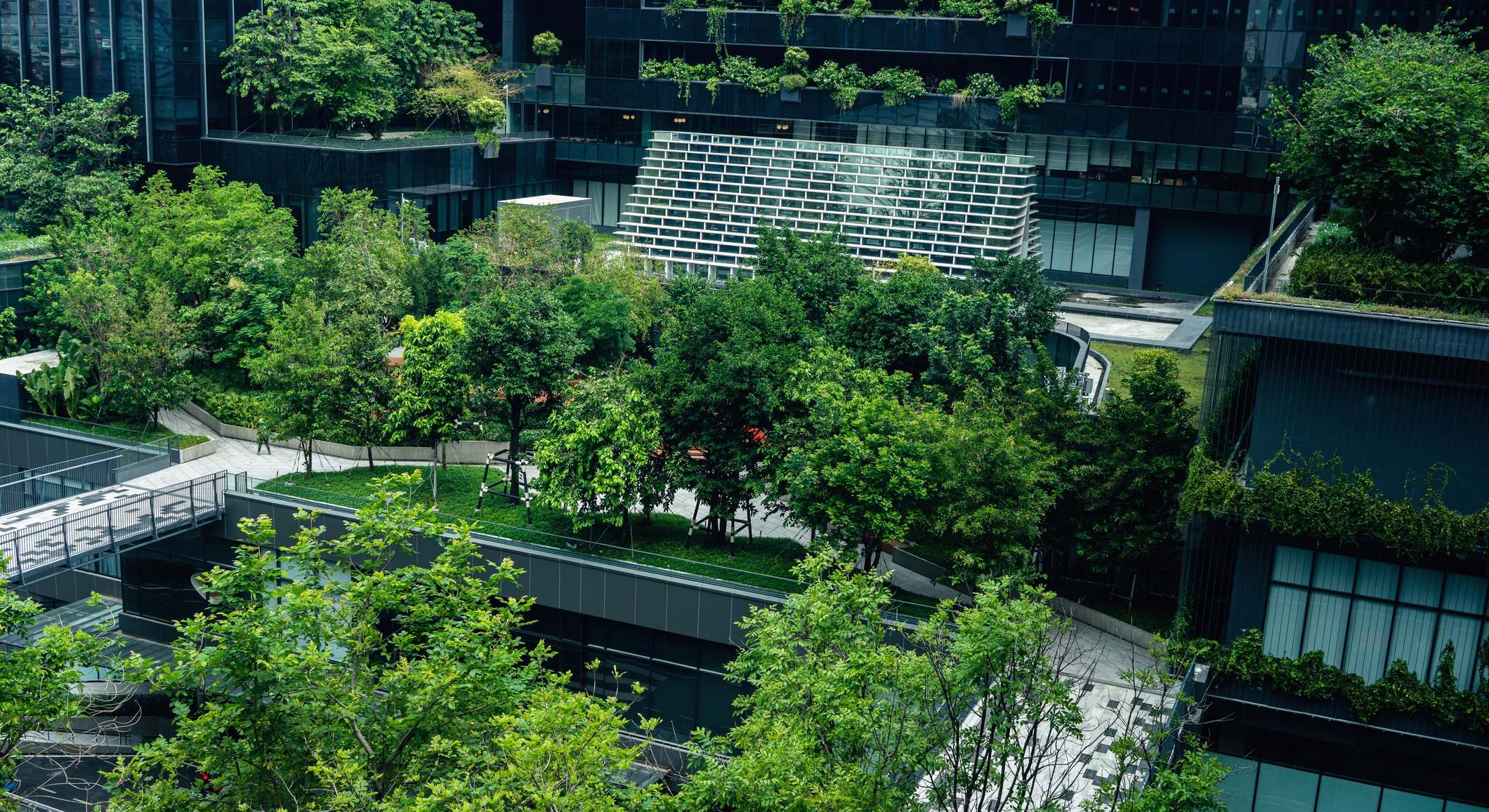 Edificio ecológico