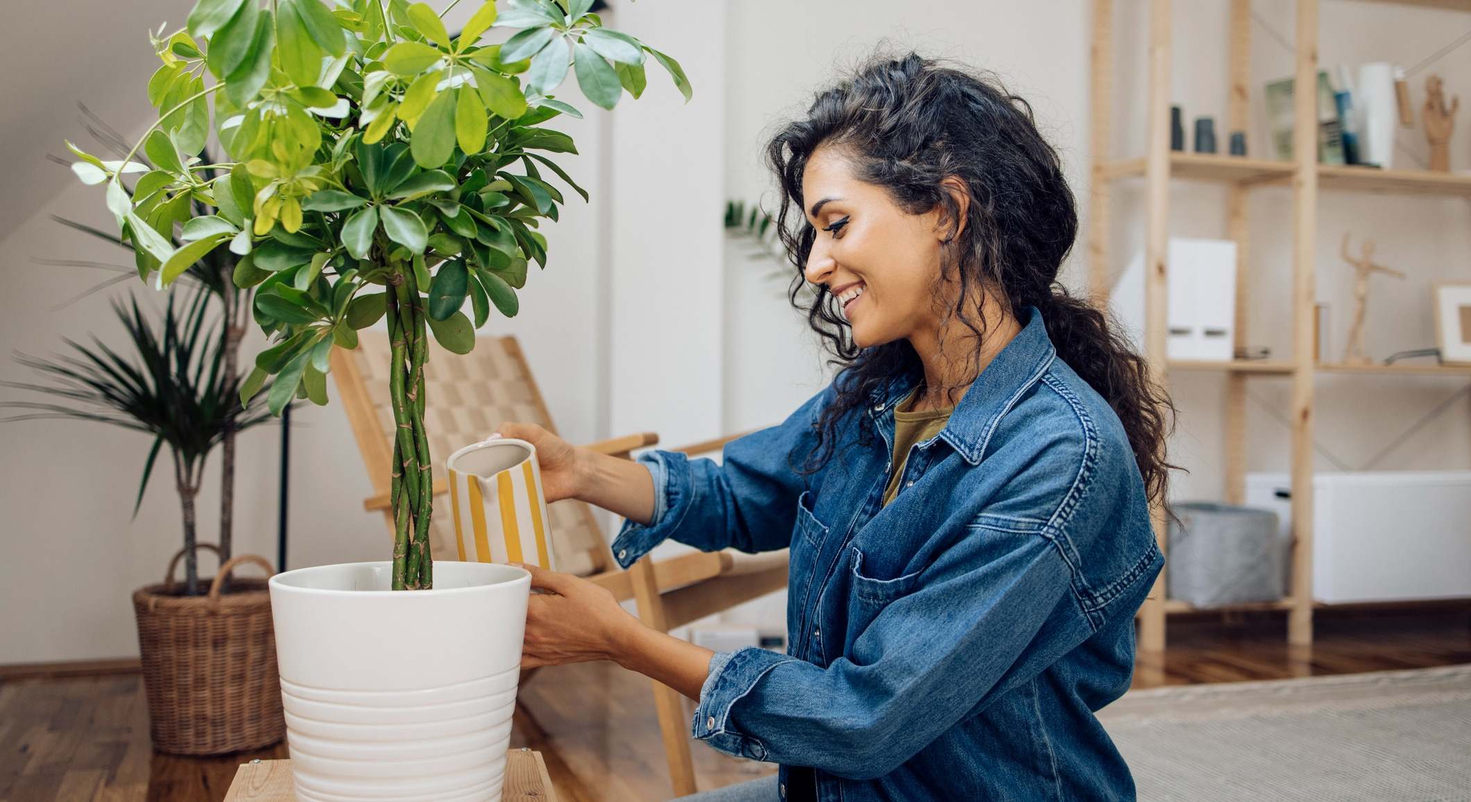 Regar plantas
