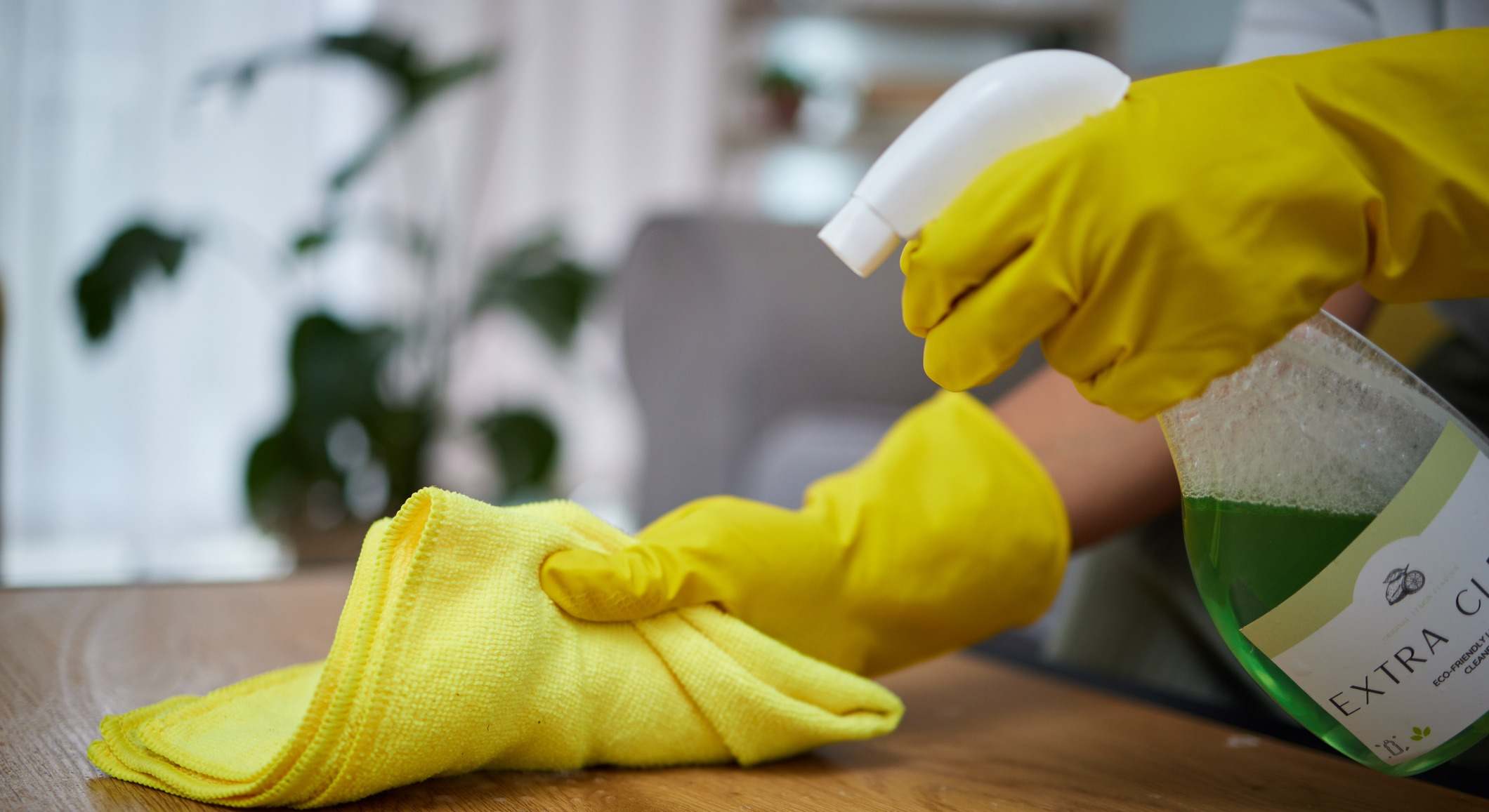 Bayeta con bacterias