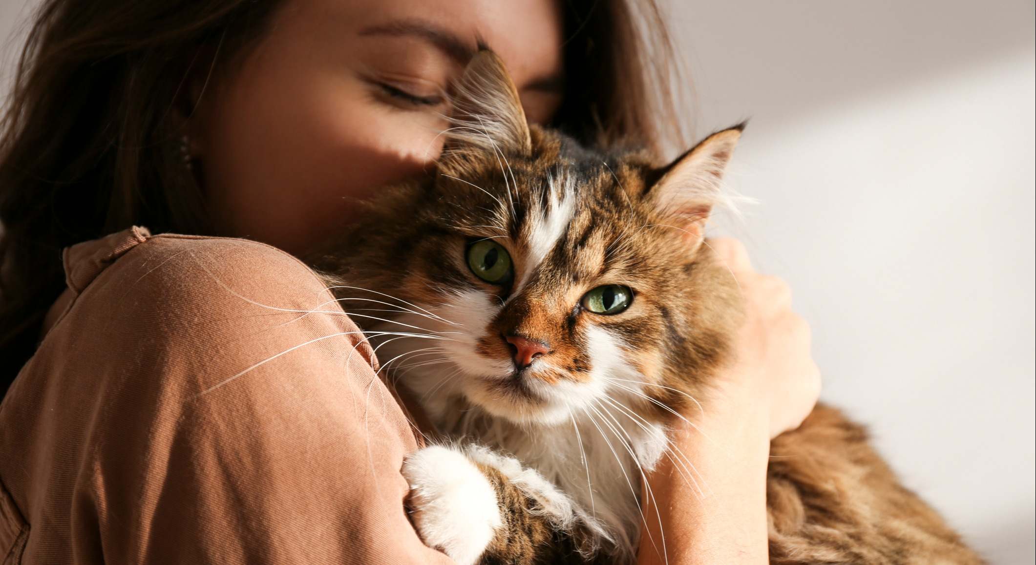 Un gato demuestra gratitud a su dueña. / Foto: iStock
