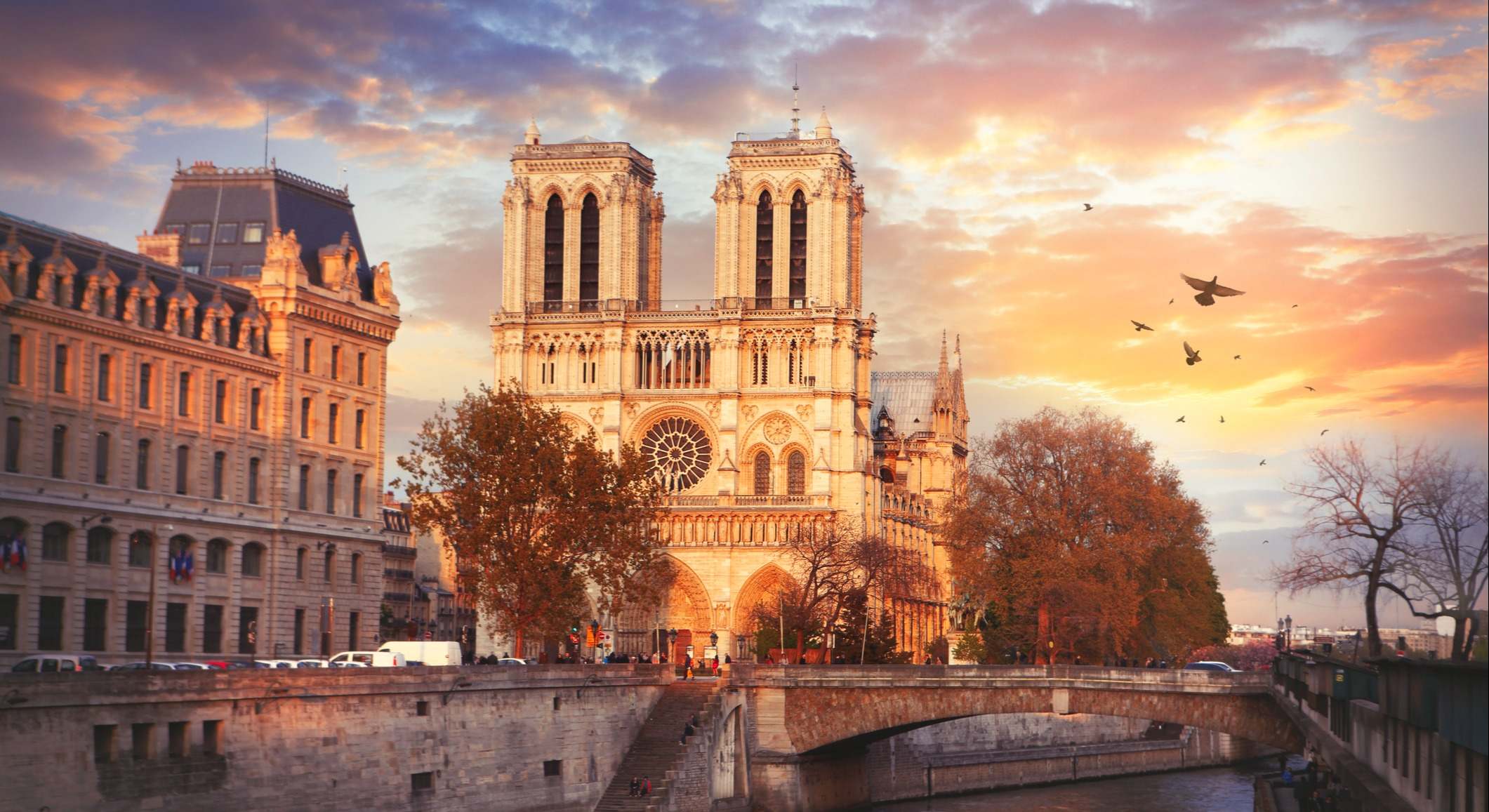Catedral de Notre-Dame, en París. / Foto: iStock