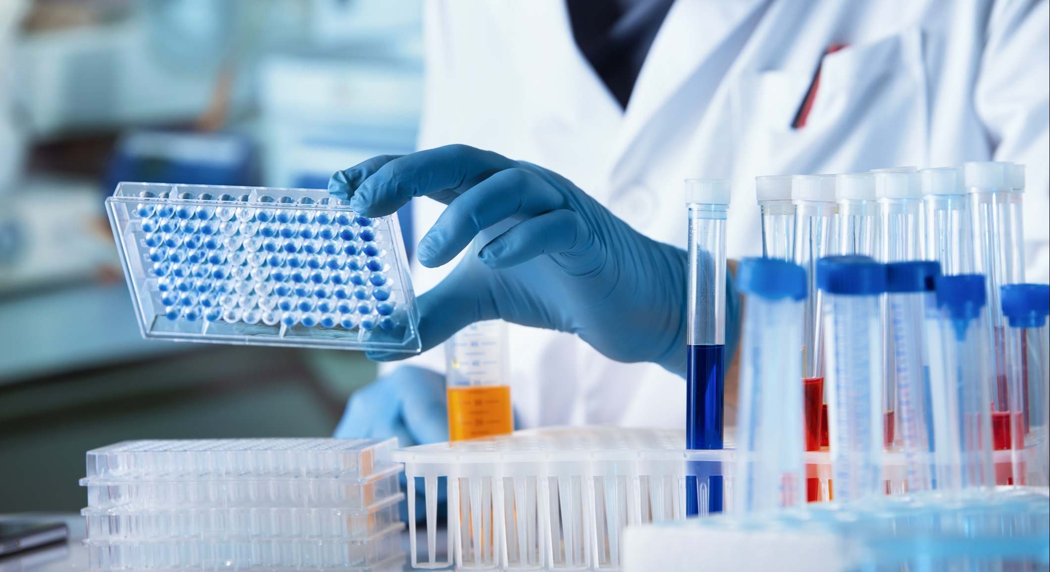 investigacion