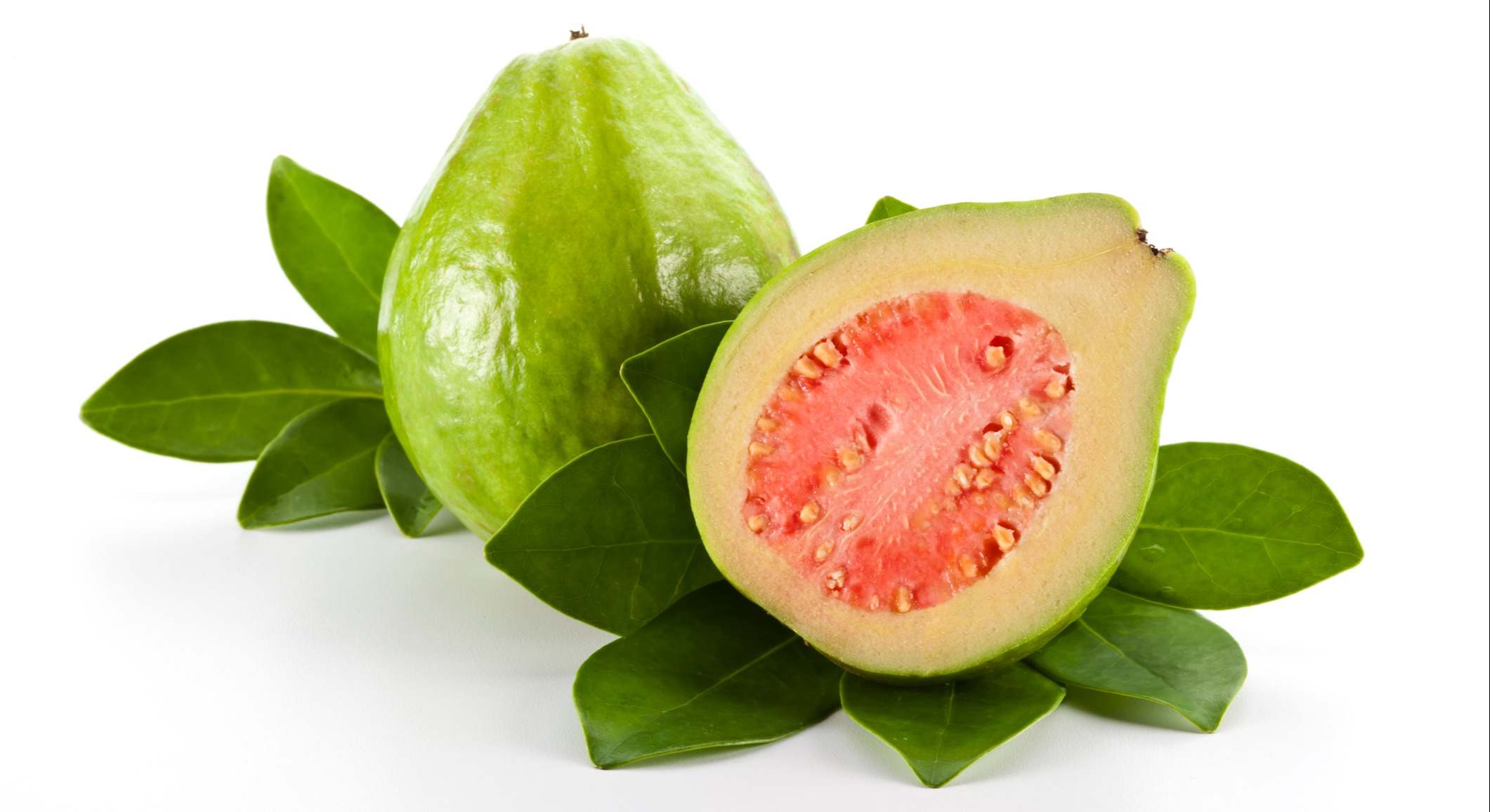 Guayaba