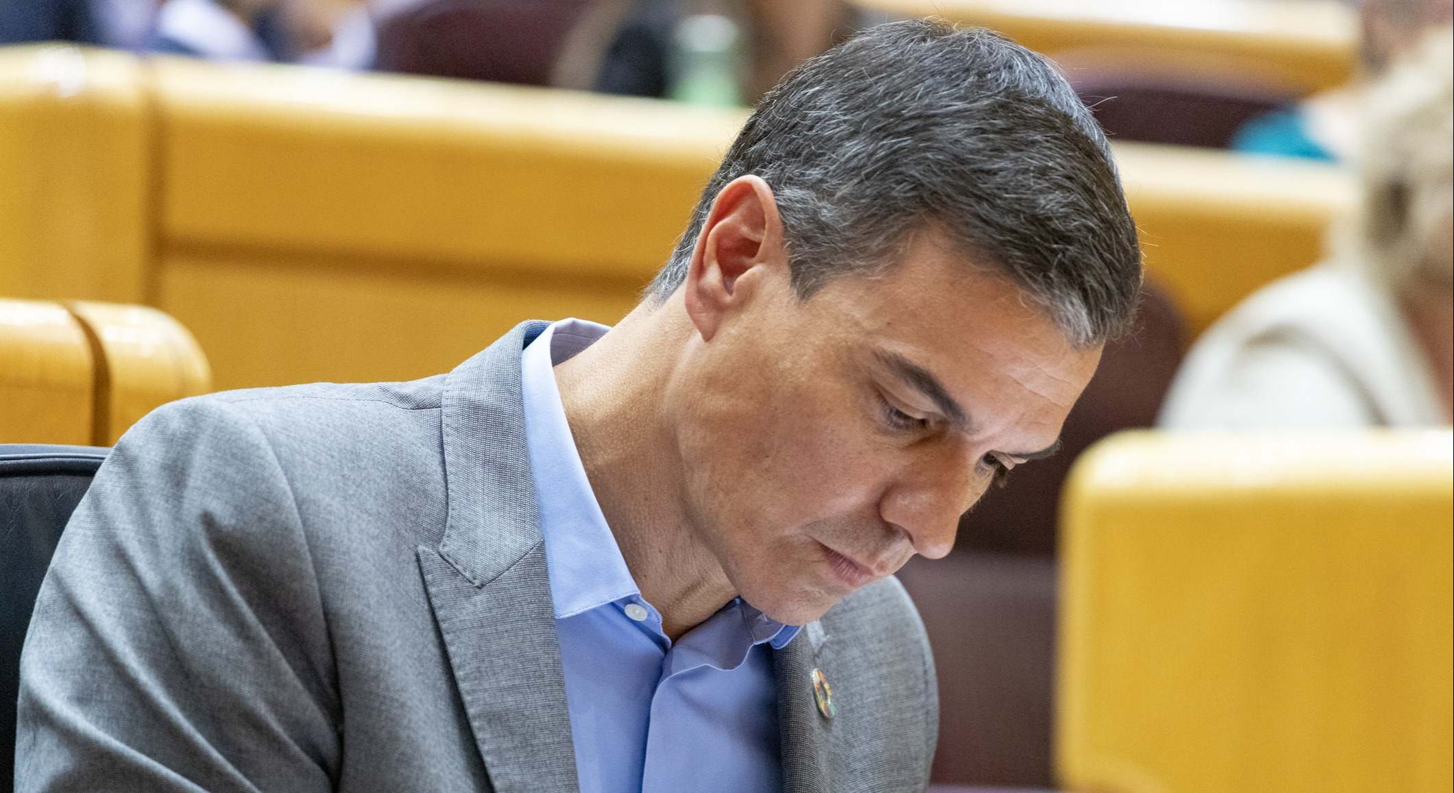 dreamstime_Pedro_Sanchez_presidente_Gobierno.jpg