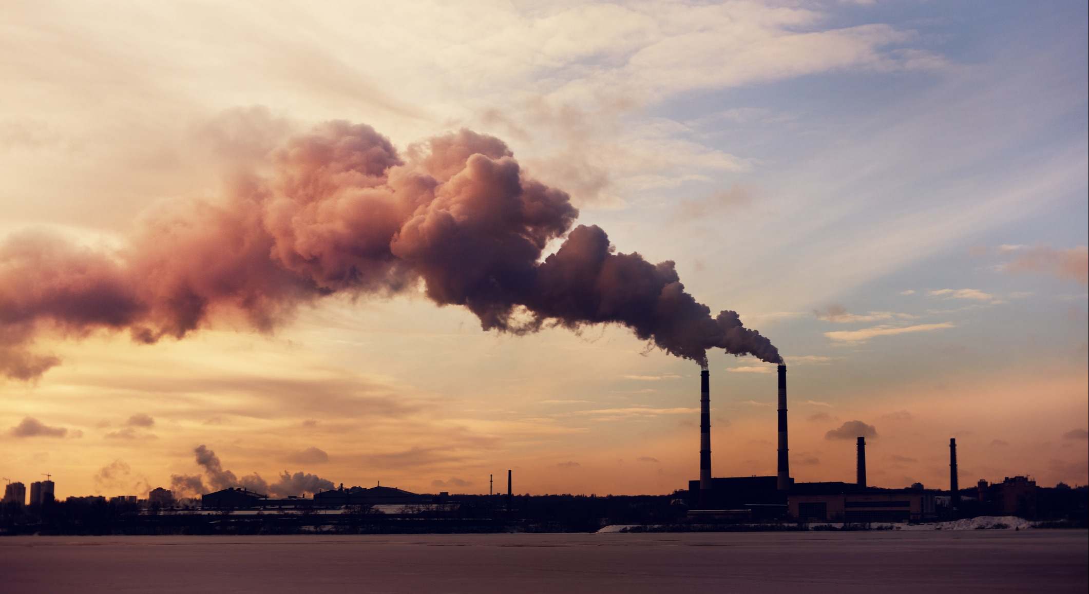 Planta de carbón (iStock)