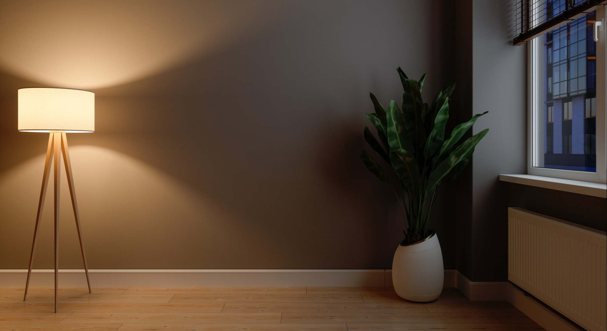 La planta de interior que recomiendan todos los expertos.