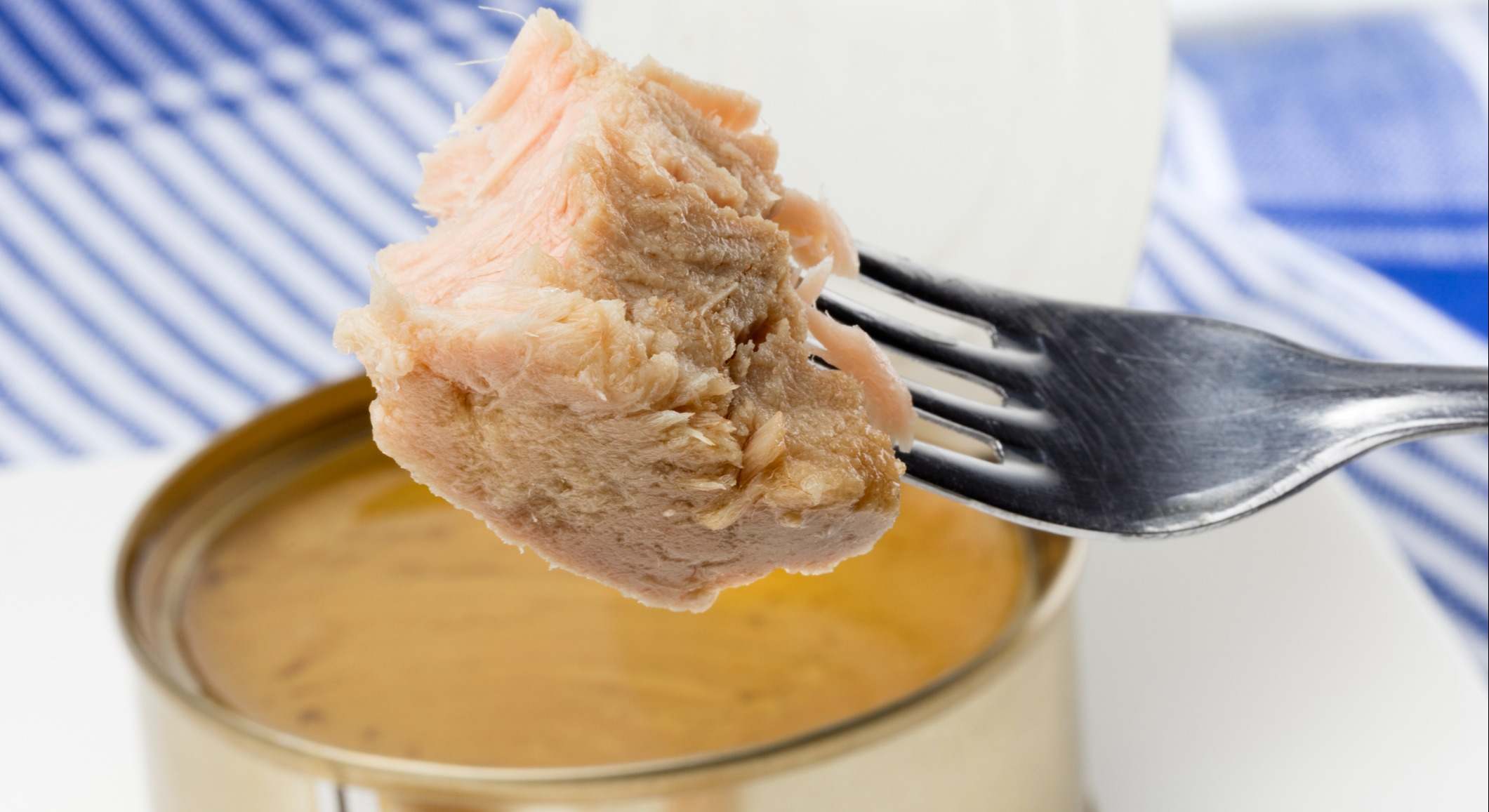 Tenedor con atún con una lata de atún de fondo