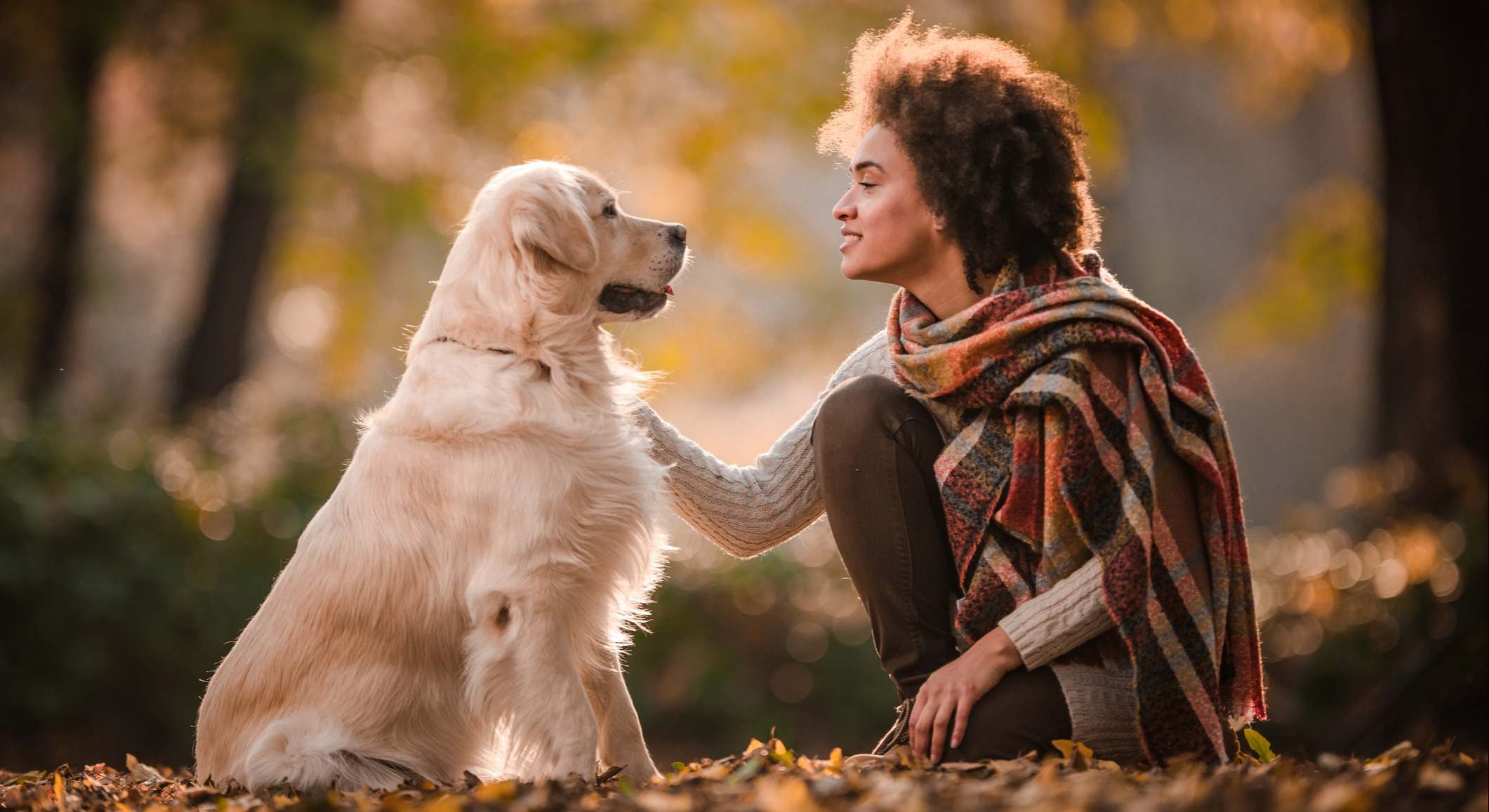 perro y mujer