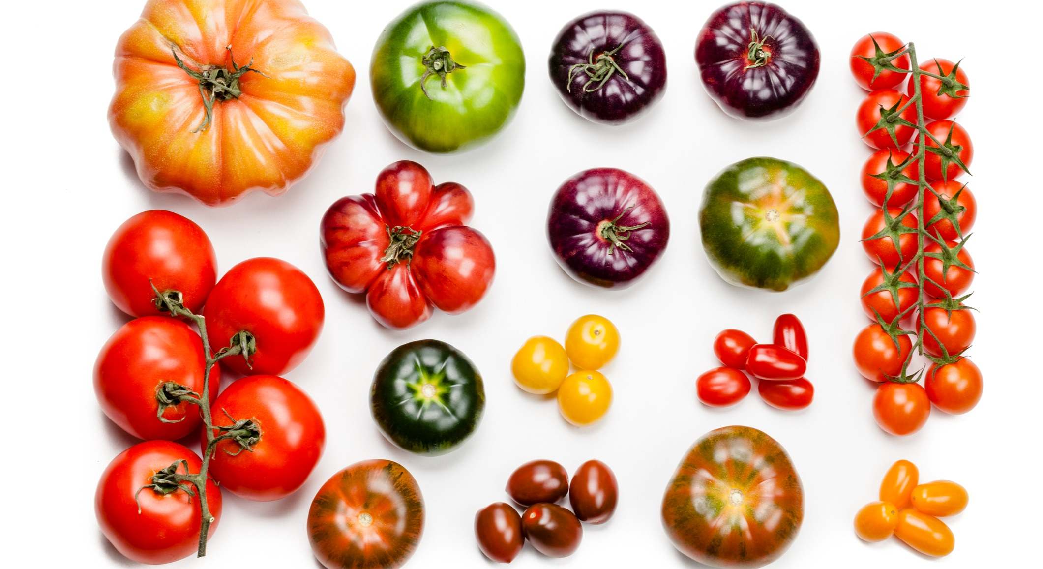 Variedad de tomates
