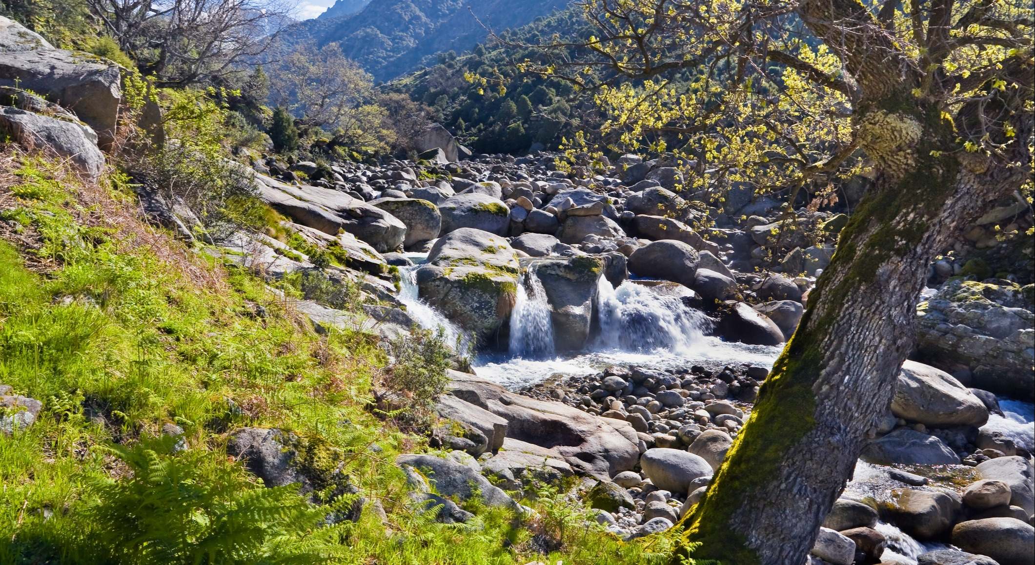 Sierra de Gredos