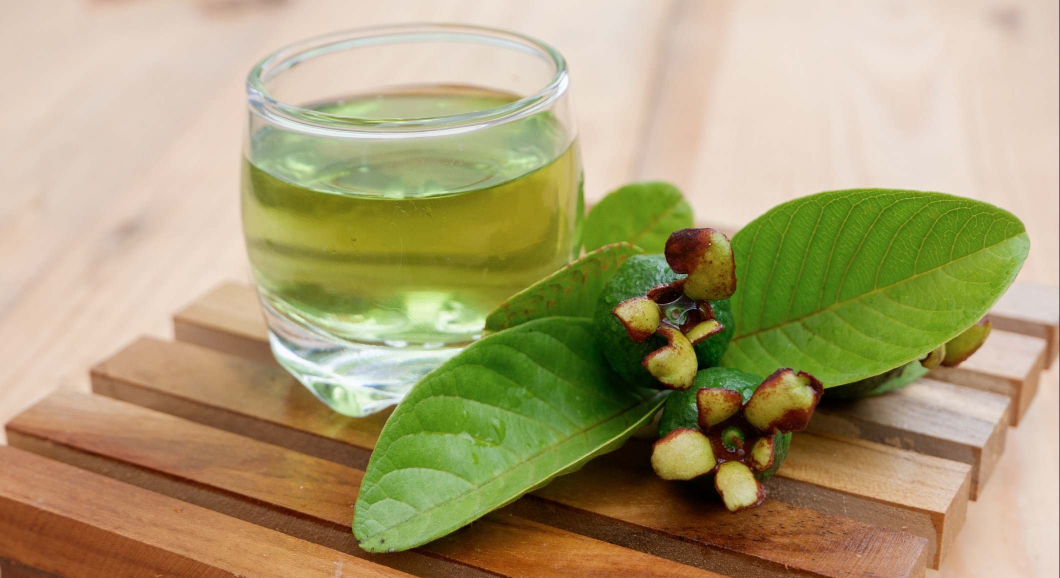 Vaso de hojas hervidas de brotes de guayaba