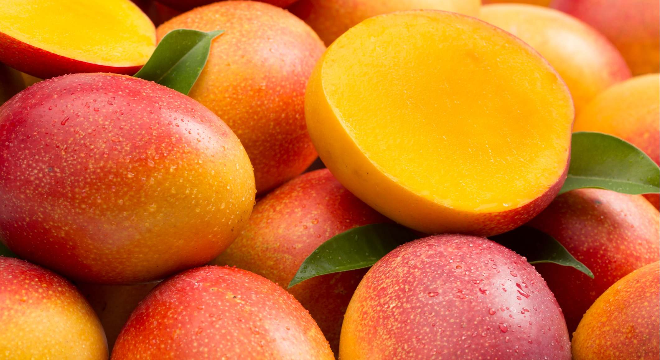 Conjunto de mangos