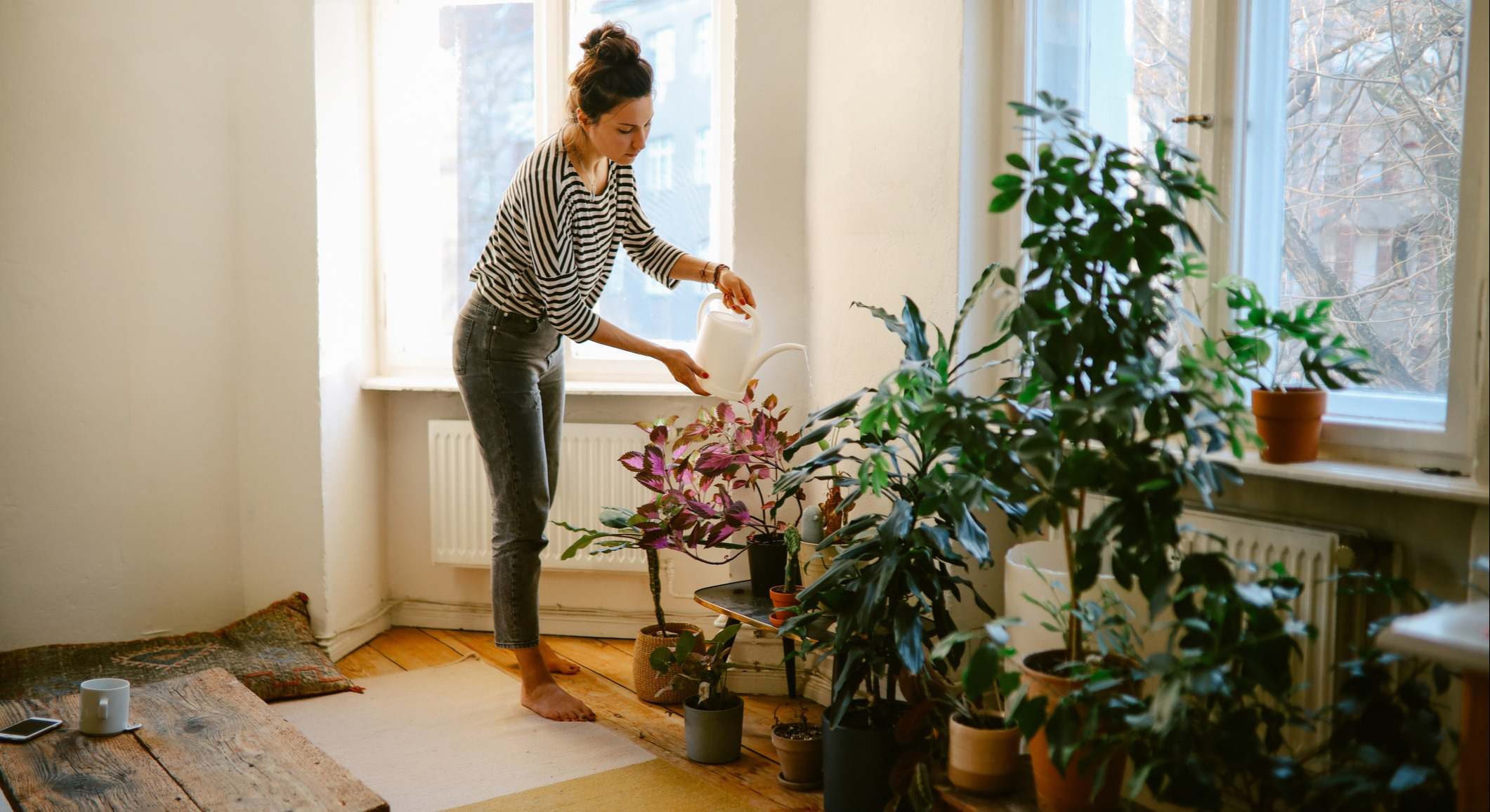Una mujer riega varias plantas en el interior de su casa. / Foto: iStock