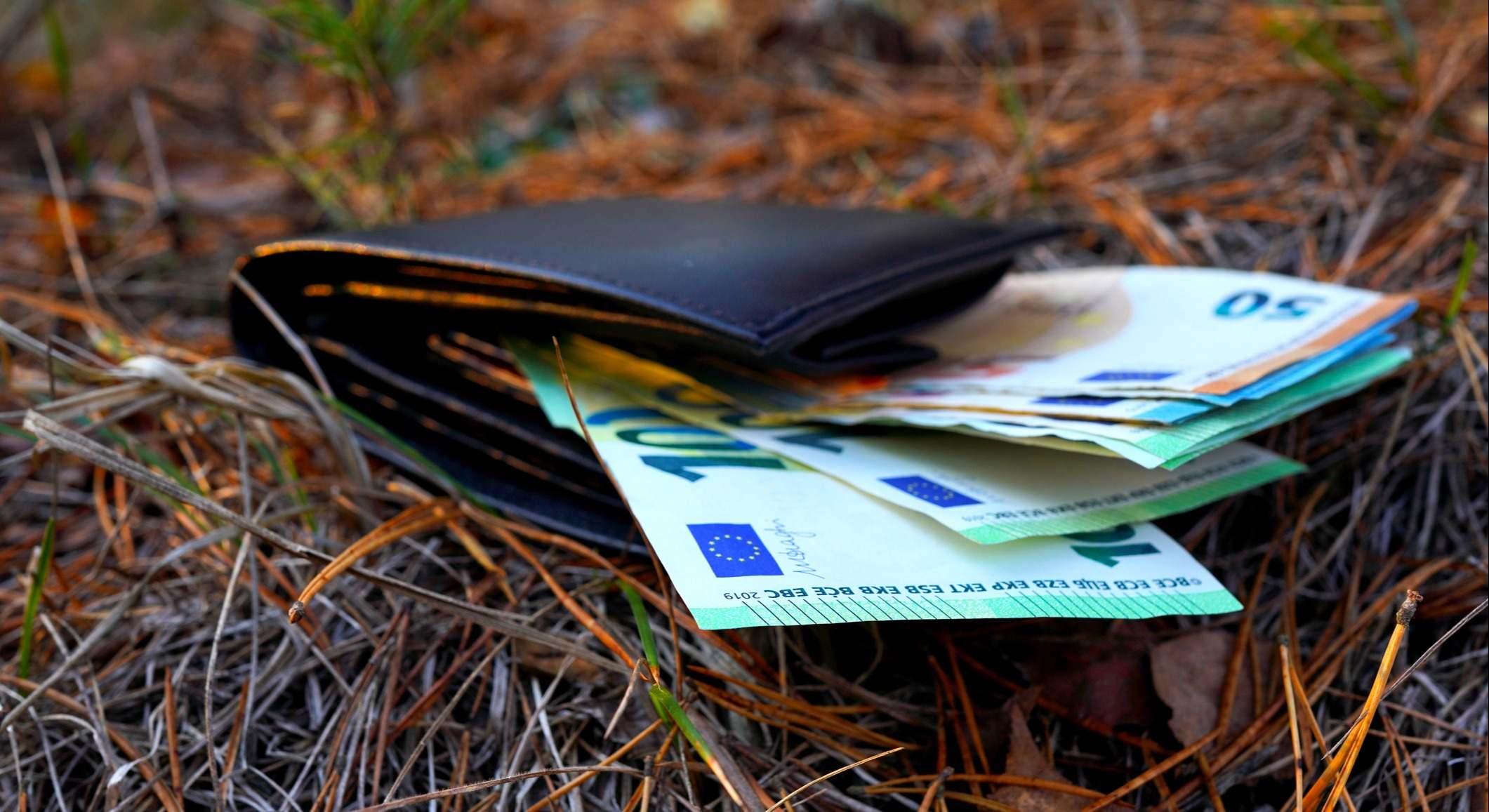 Cartera perdida