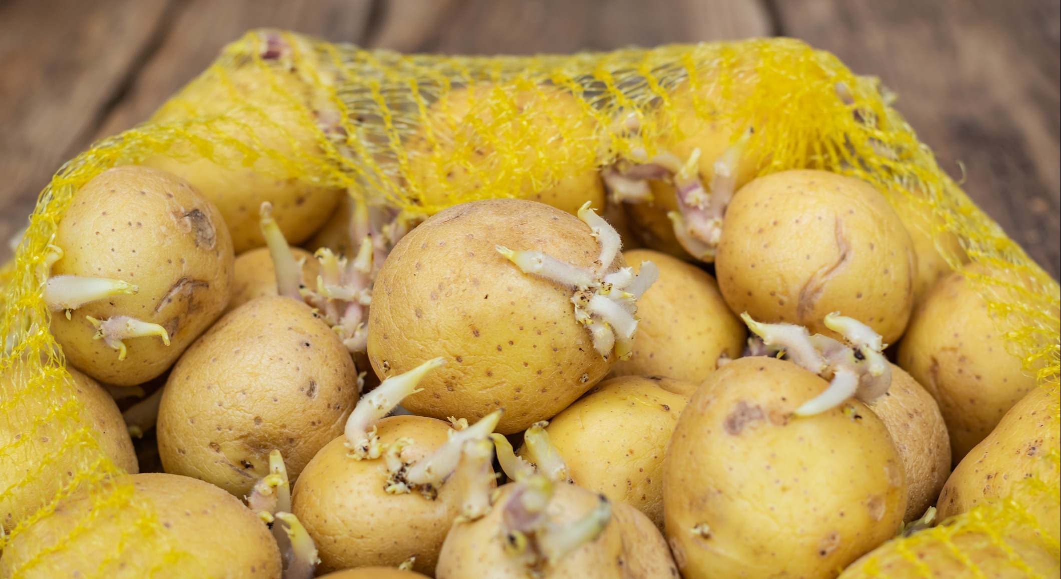 Patatas con brotes