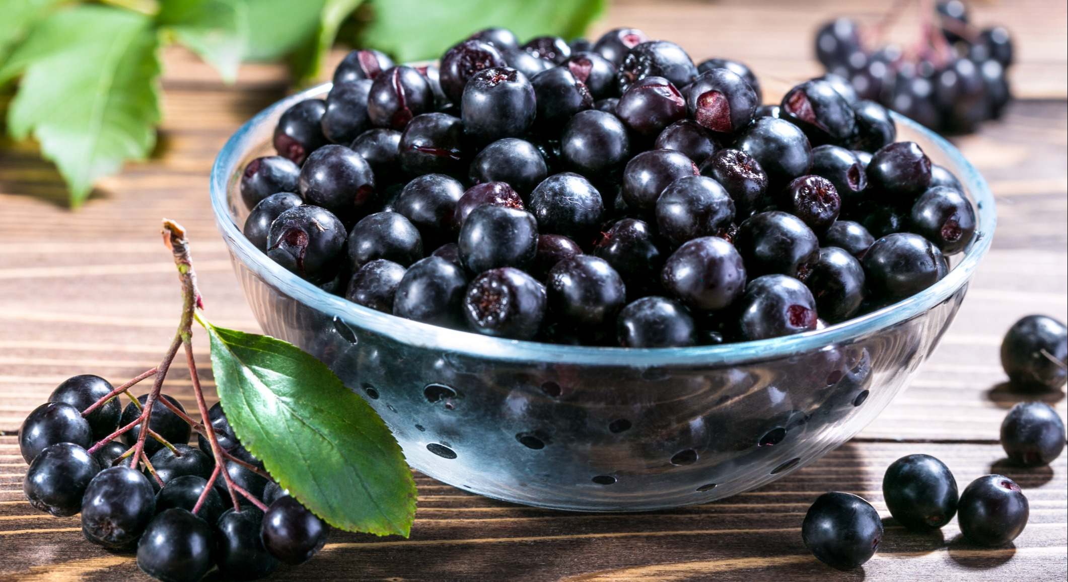 Comparativa nutricional (por cada 100 g):